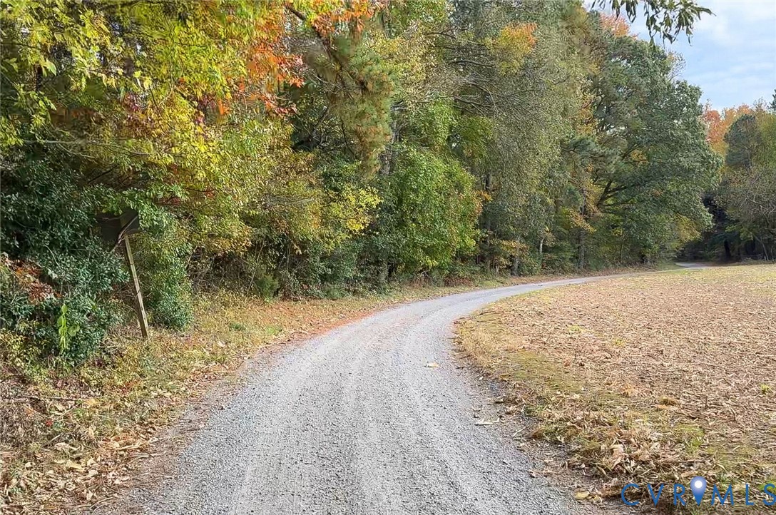 1126 Cloverdale Road Laneview, VA 22504 - Photo 19 of 49 a view of a dry yard with trees