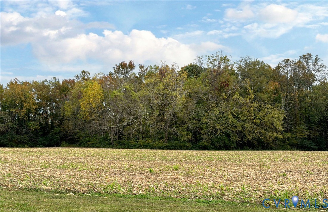1126 Cloverdale Road Laneview, VA 22504 - Photo 20 of 49 a view of an ocean
