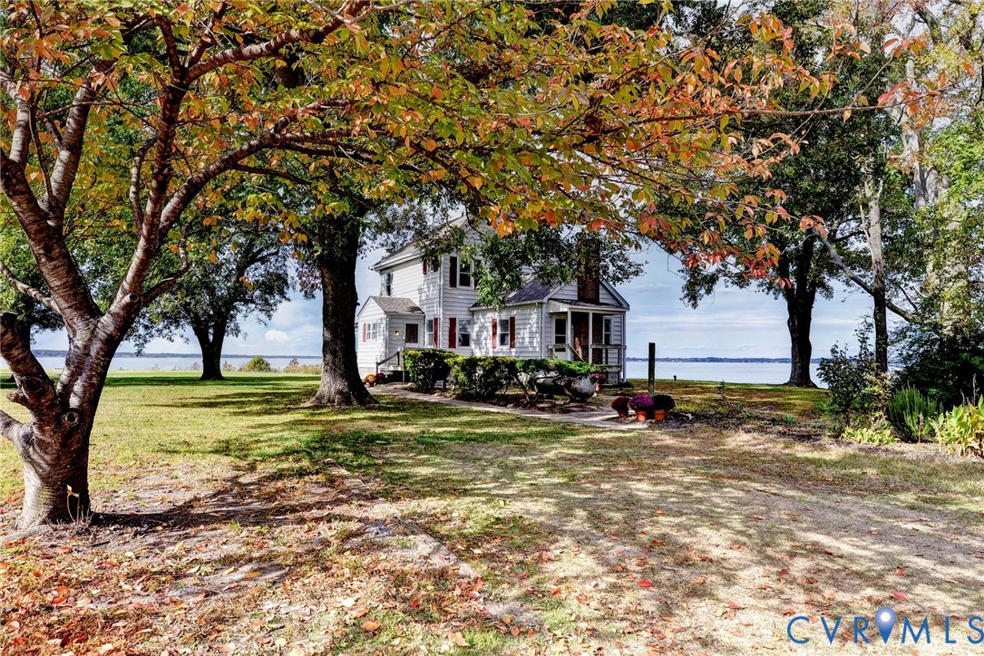 1126 Cloverdale Road Laneview, VA 22504 - Photo 7 of 49 a view of a yard with a tree