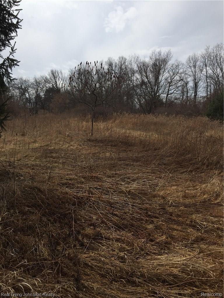 0 South Conklin Road Lake Orion, MI 48362 - Photo 2 of 2 image.jpg