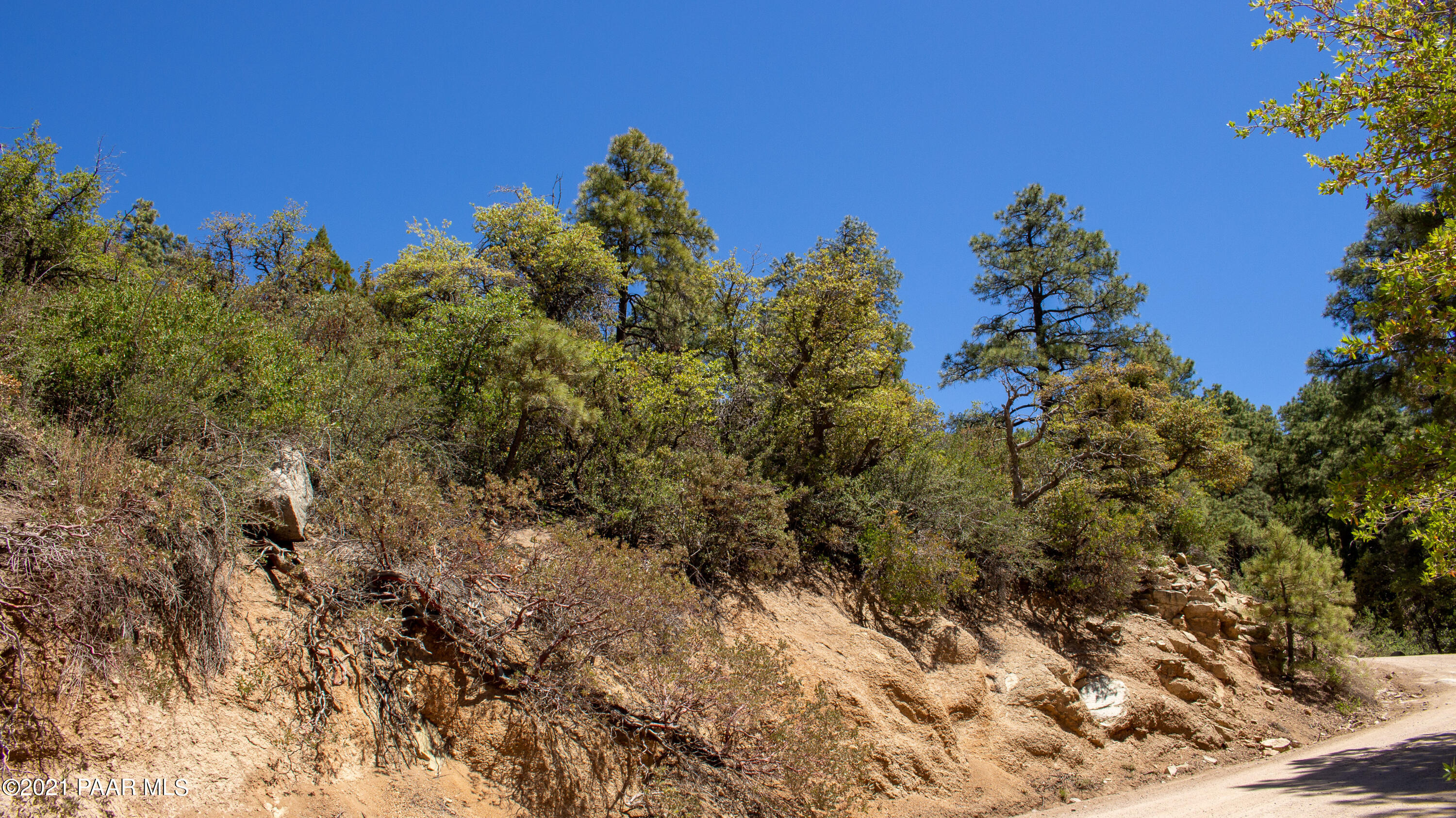 5000 West Copper Basin Road Prescott, AZ 86303 - Photo 11 of 17 a view of a forest