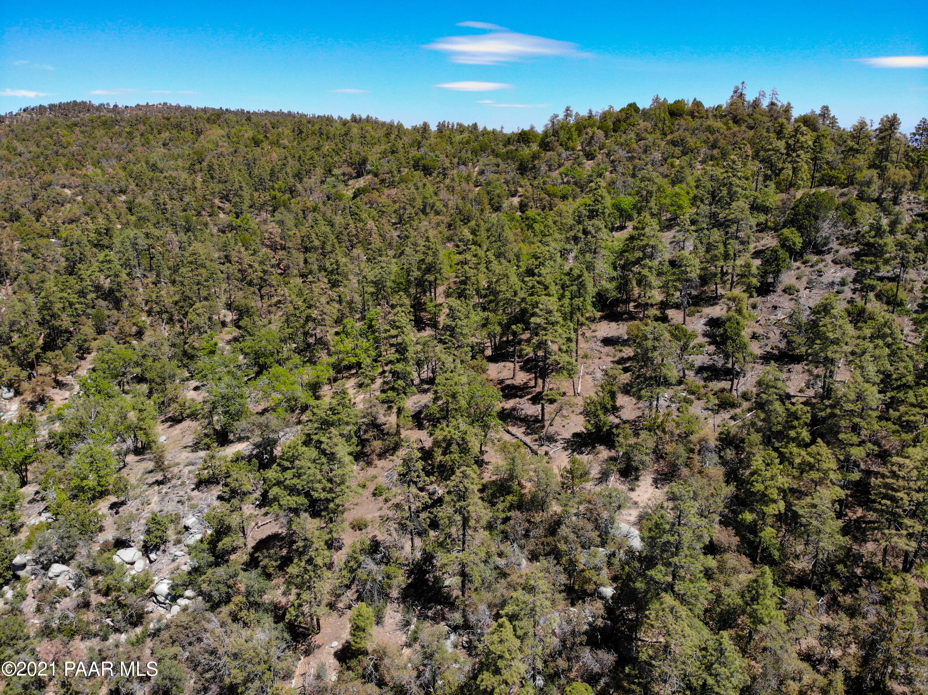 5000 West Copper Basin Road Prescott, AZ 86303 - Photo 15 of 17 a view of a bunch of trees in a field
