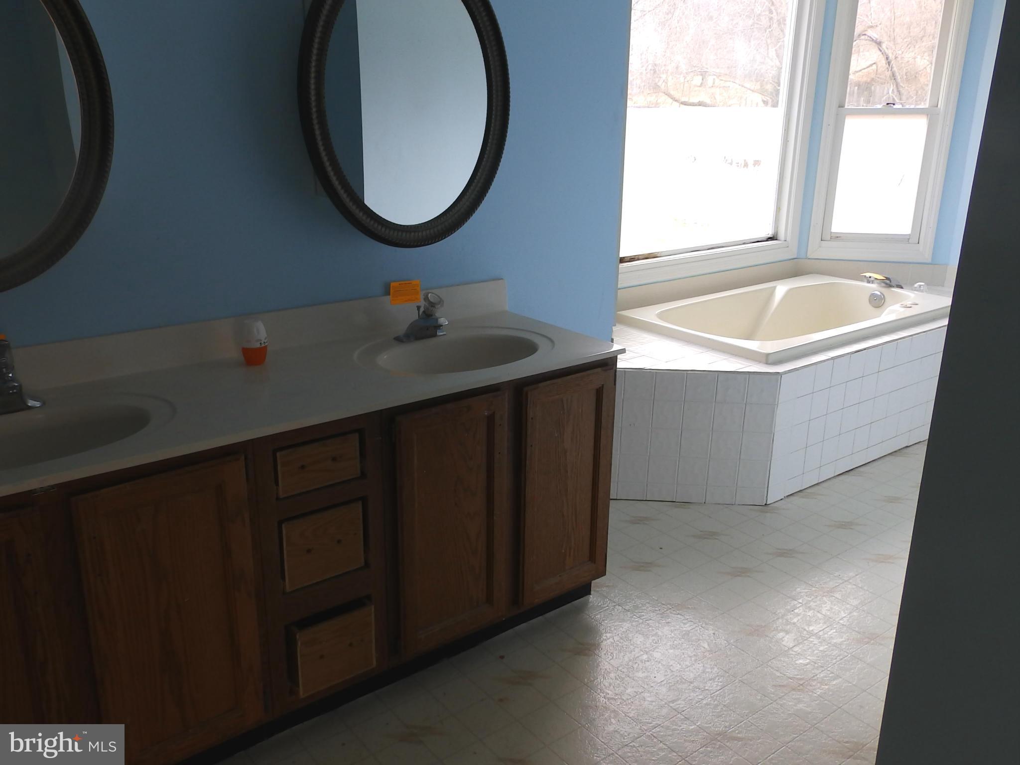 4215 Old Hanover Road Westminster, MD 21158 - Photo 14 of 30 Bath (Master) double vanity