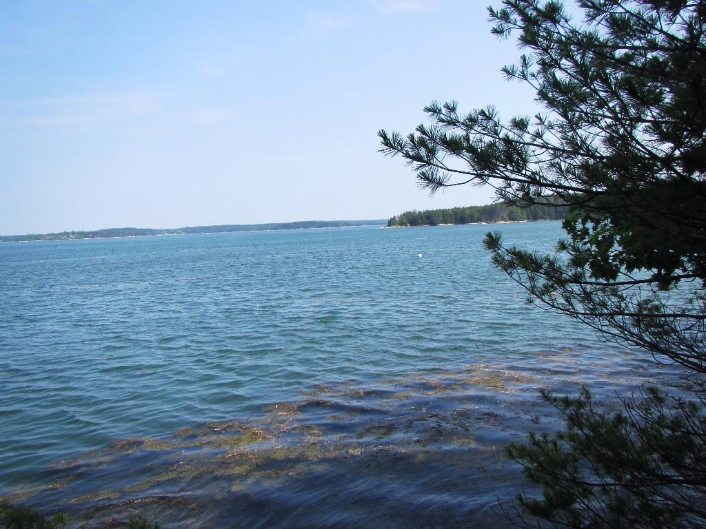 67 Brooks Point Road Westport Island, ME 04578 - Photo 4 of 22 Photo