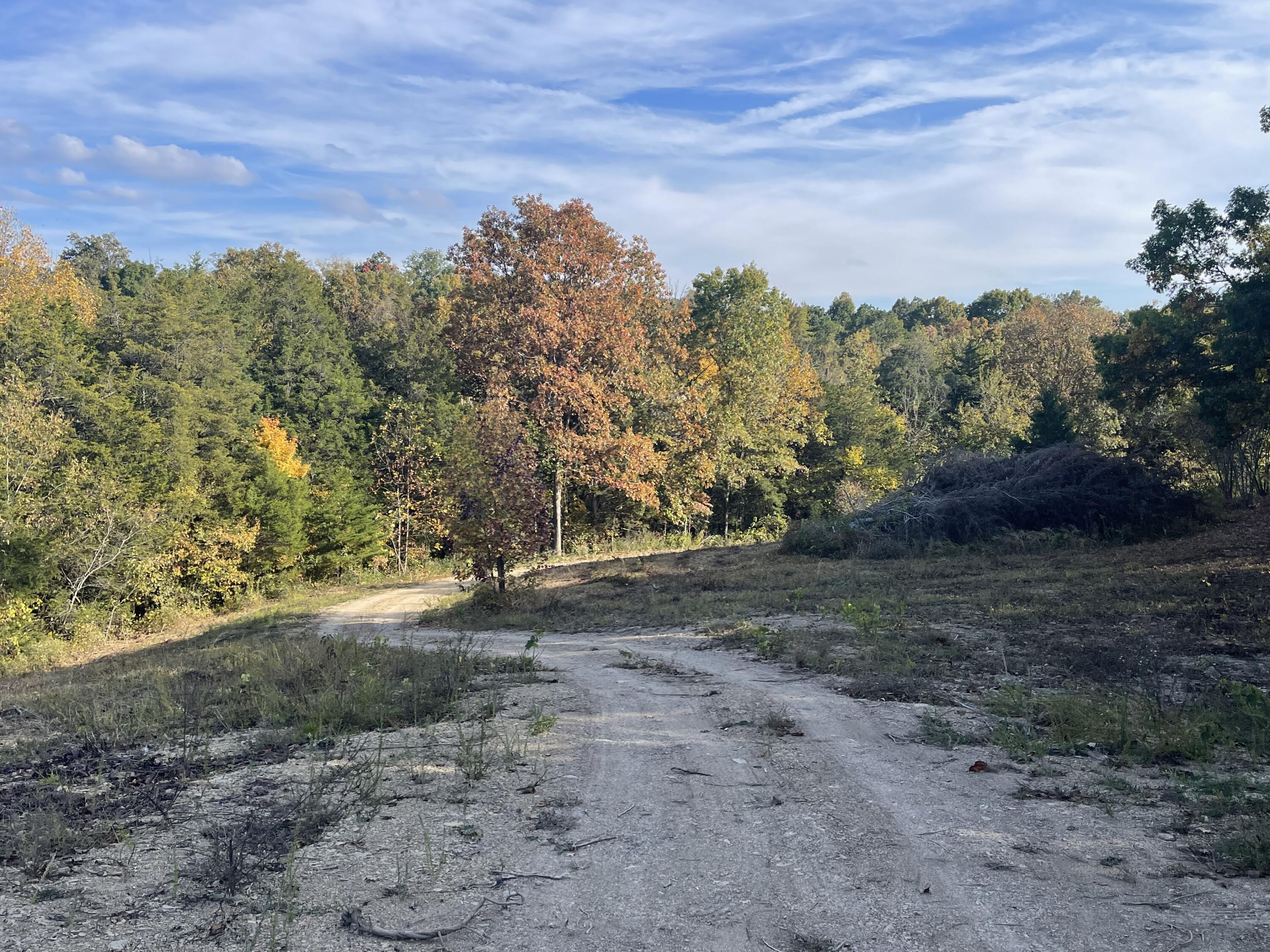 Lot 1 Baileyton Road, Unit B Greeneville, TN 37745 - Photo 1 of 52 D5FF861A-3EFE-41F0-B37D-4A104166669B