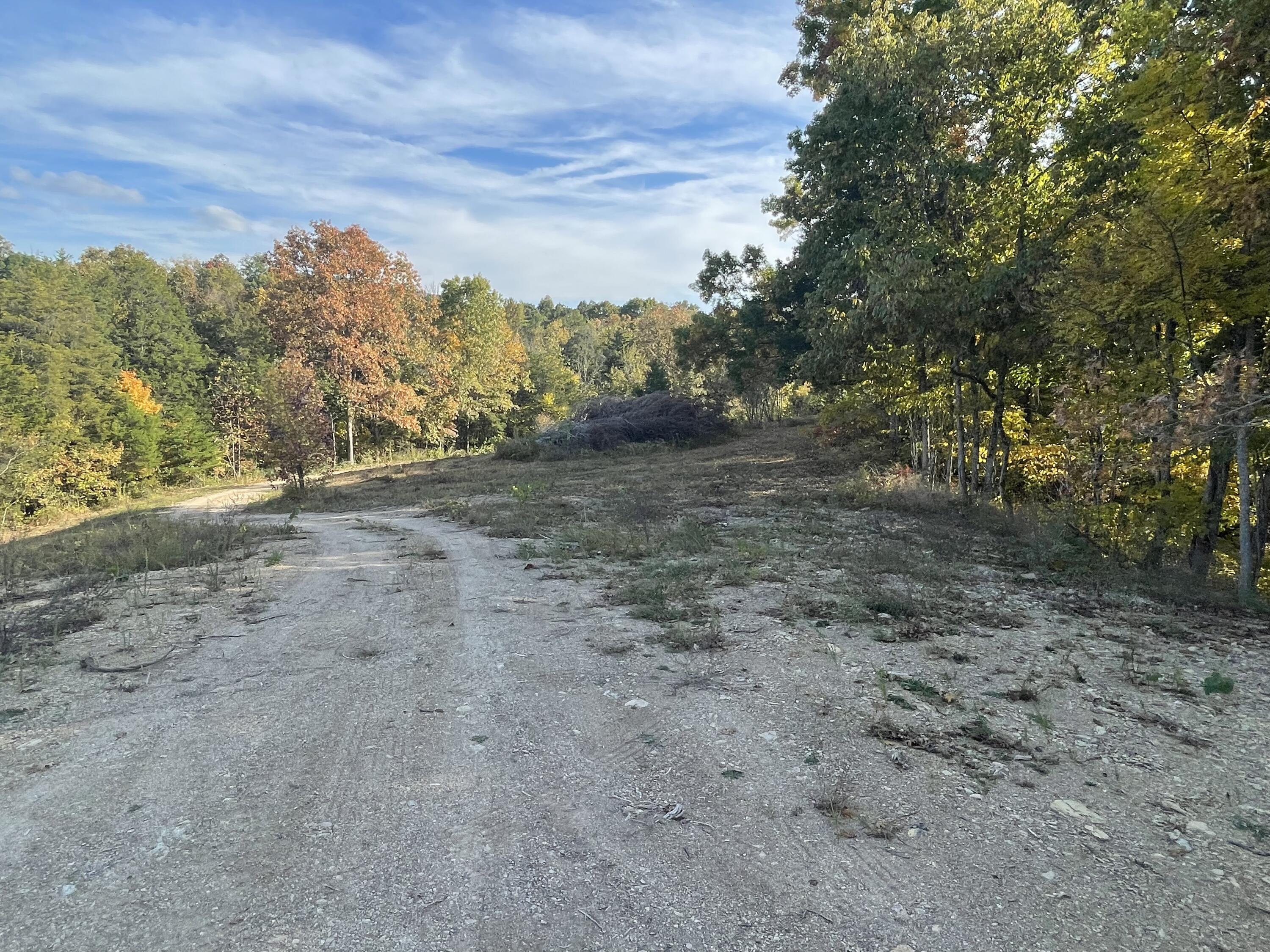 Lot 1 Baileyton Road, Unit B Greeneville, TN 37745 - Photo 11 of 52 5A8399CC-B6D5-4E0D-BC63-084C45655C10