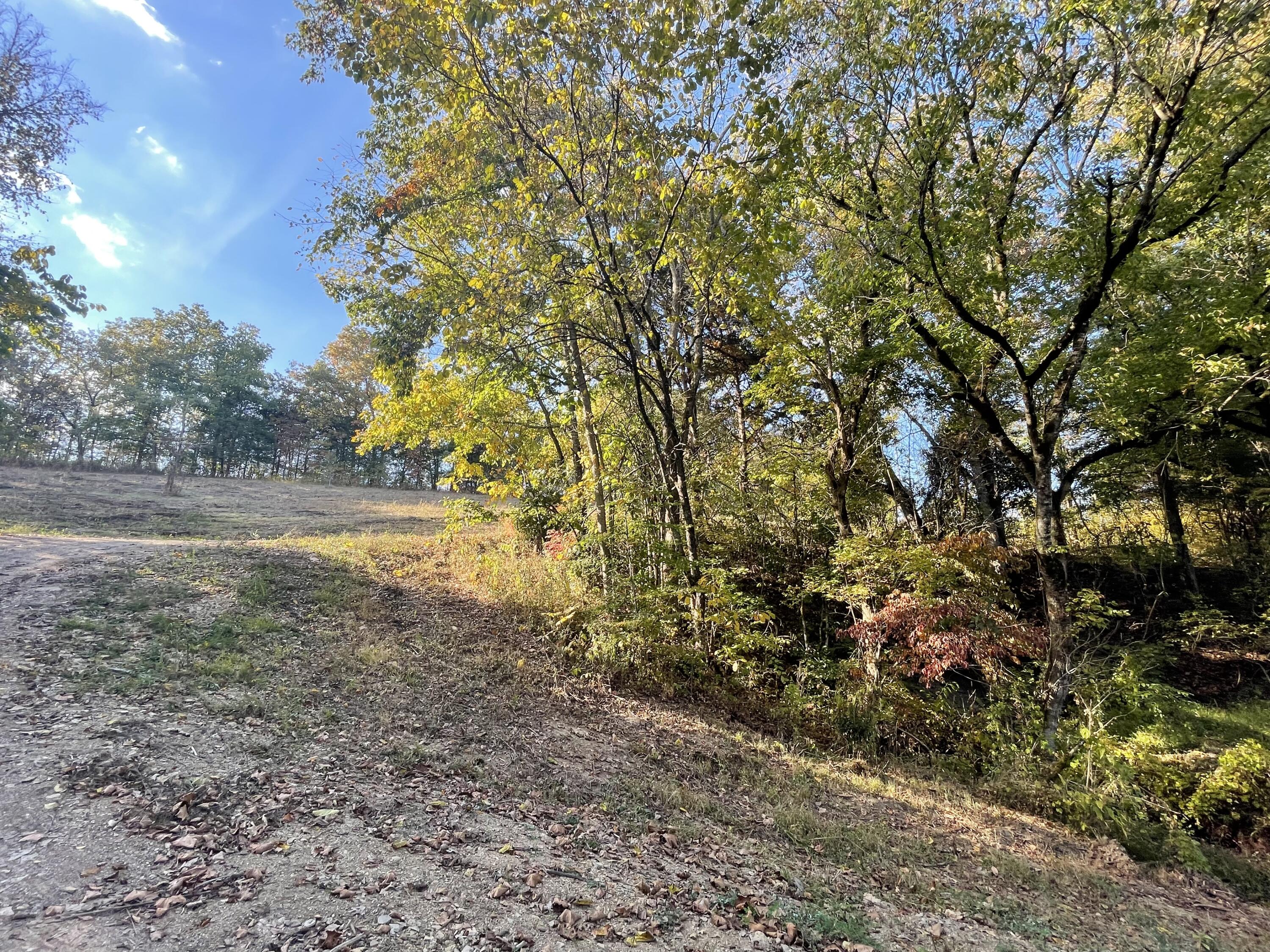 Lot 1 Baileyton Road, Unit B Greeneville, TN 37745 - Photo 12 of 52 8068CF4F-50E8-4534-AF5C-1535AF3DE3DC