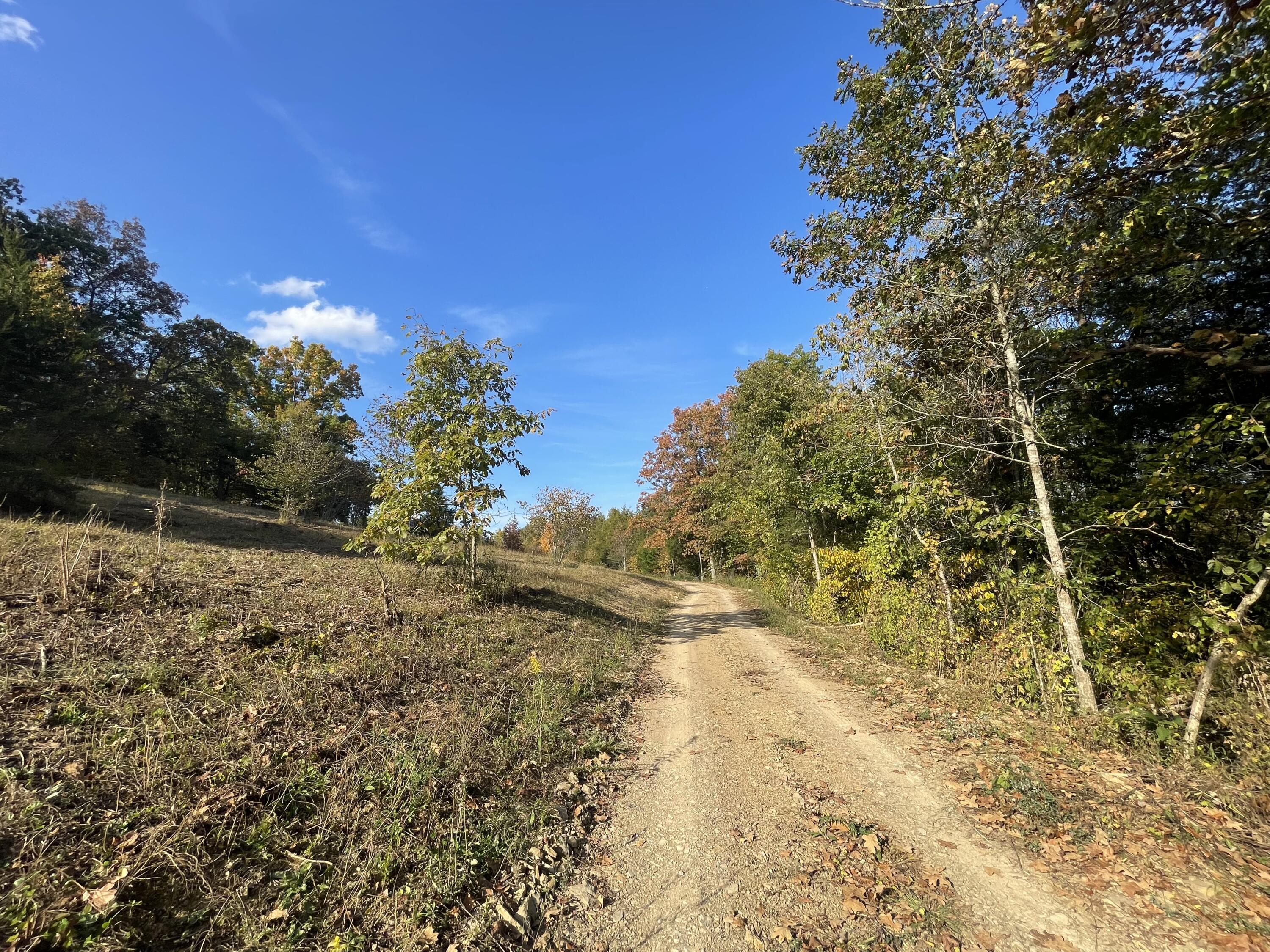 Lot 1 Baileyton Road, Unit B Greeneville, TN 37745 - Photo 13 of 52 42CE16A1-6D9F-4BC2-B1A3-96A3F30A5BF0