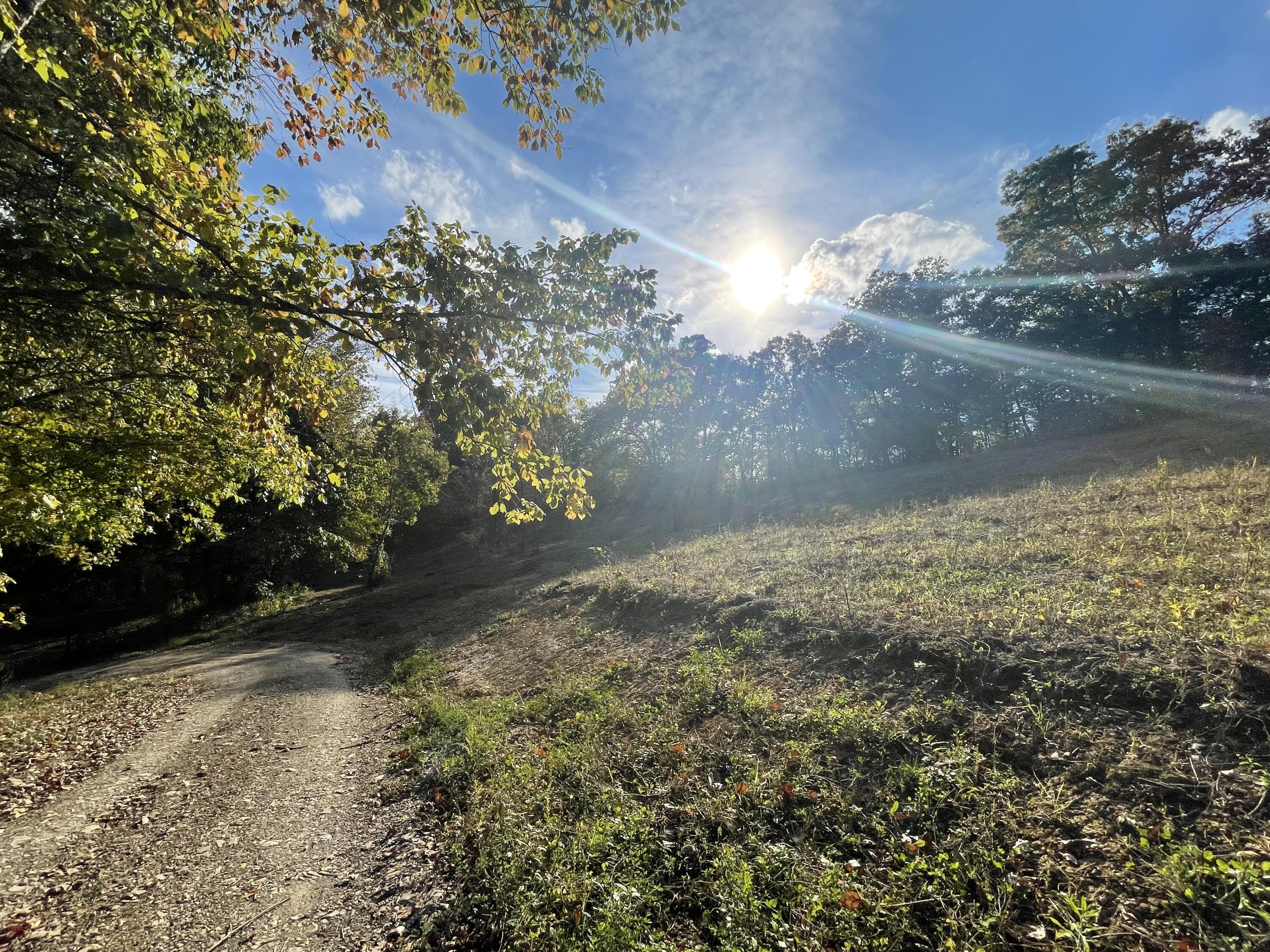 Lot 1 Baileyton Road, Unit B Greeneville, TN 37745 - Photo 14 of 52 A6723959-1C0B-4227-84FC-25BCBF6079EC
