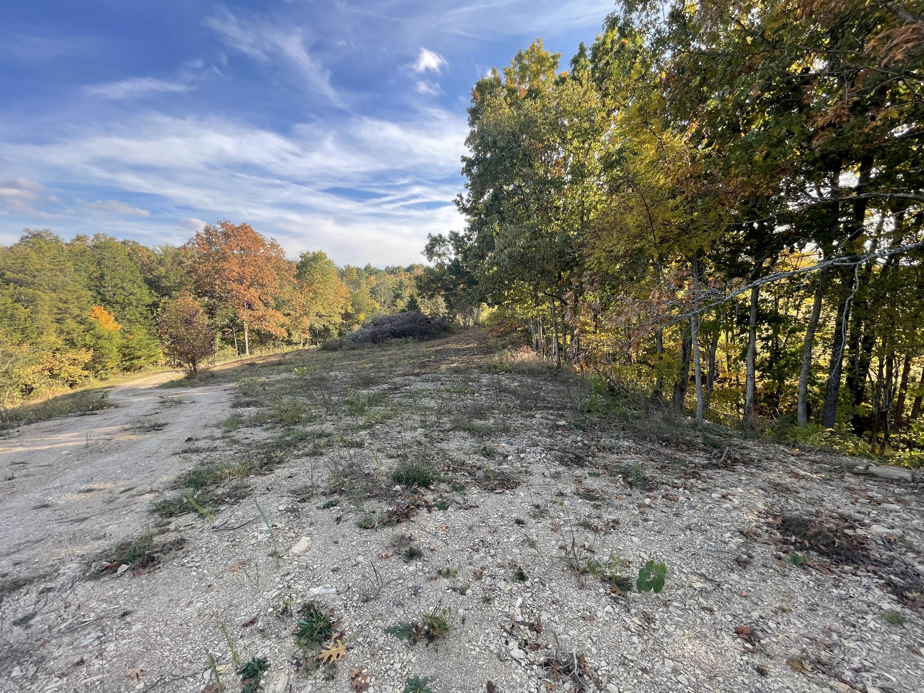 Lot 1 Baileyton Road, Unit B Greeneville, TN 37745 - Photo 17 of 52 A3FF7D7C-C136-4159-9D93-3D9B2F4962E5
