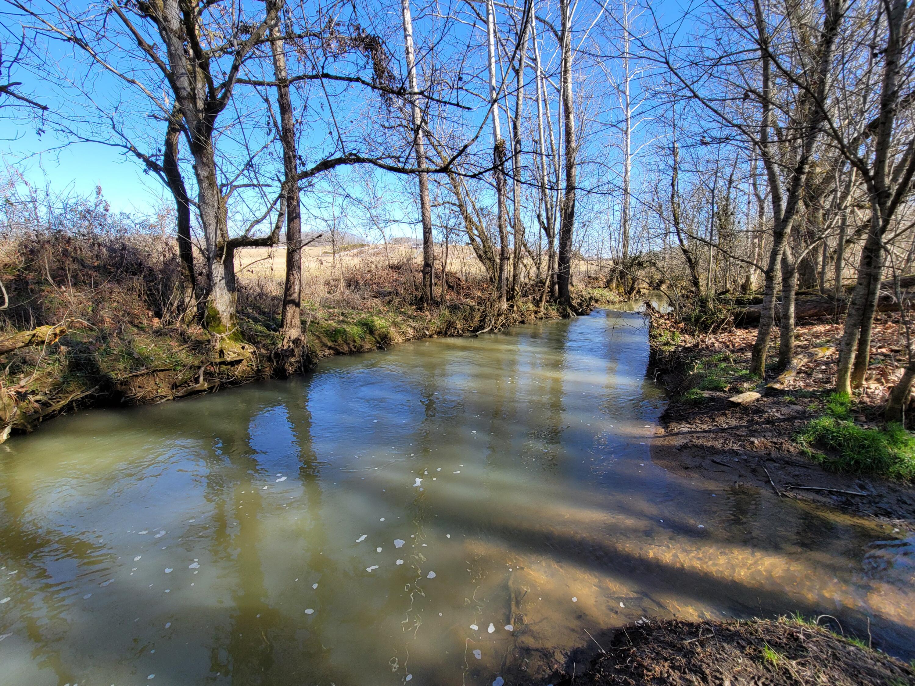 Lot 1 Baileyton Road, Unit B Greeneville, TN 37745 - Photo 18 of 52 20220219_103300