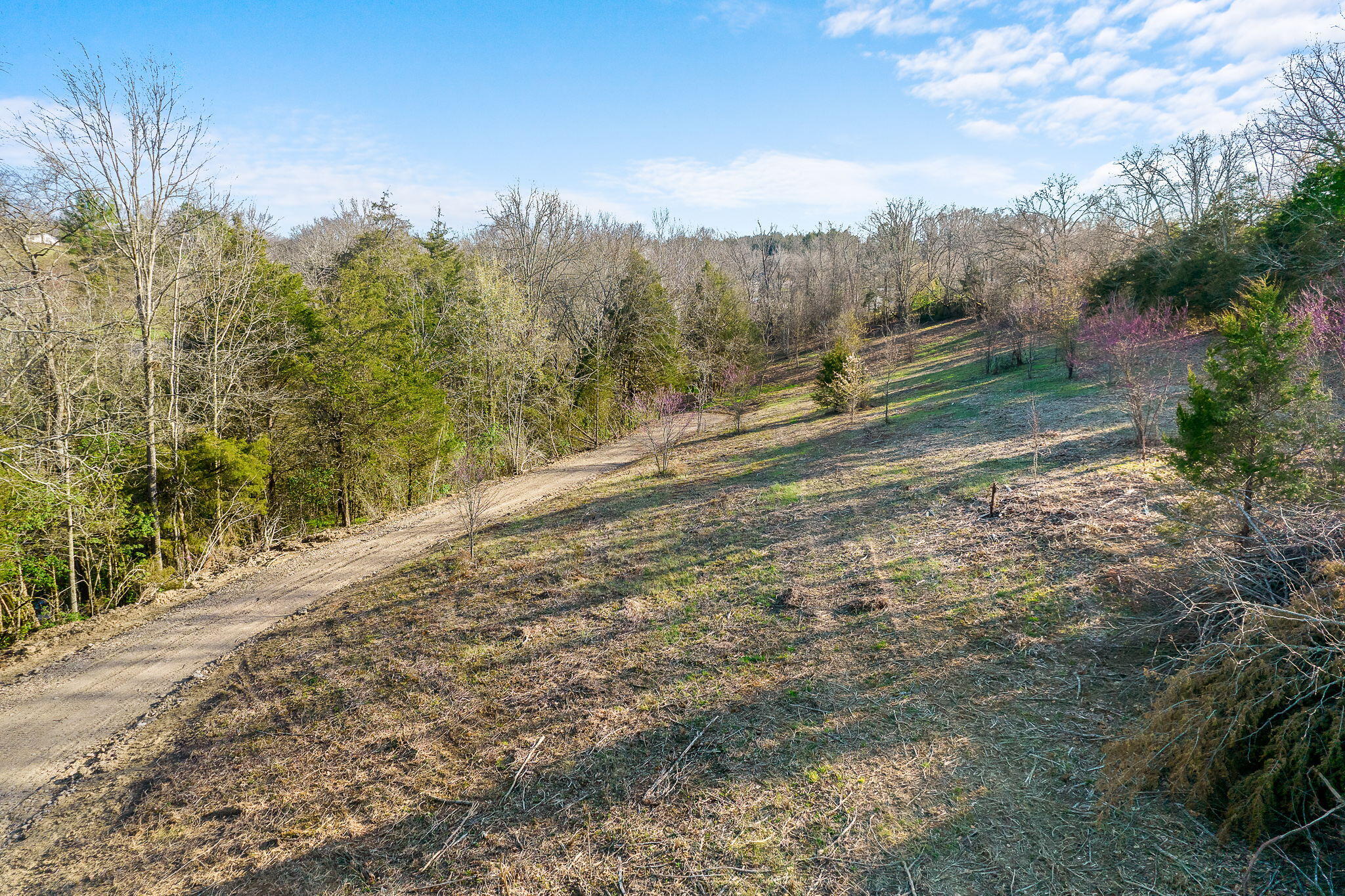 Lot 1 Baileyton Road, Unit B Greeneville, TN 37745 - Photo 20 of 52 13-web-or-mls-Baileyton Rd 13