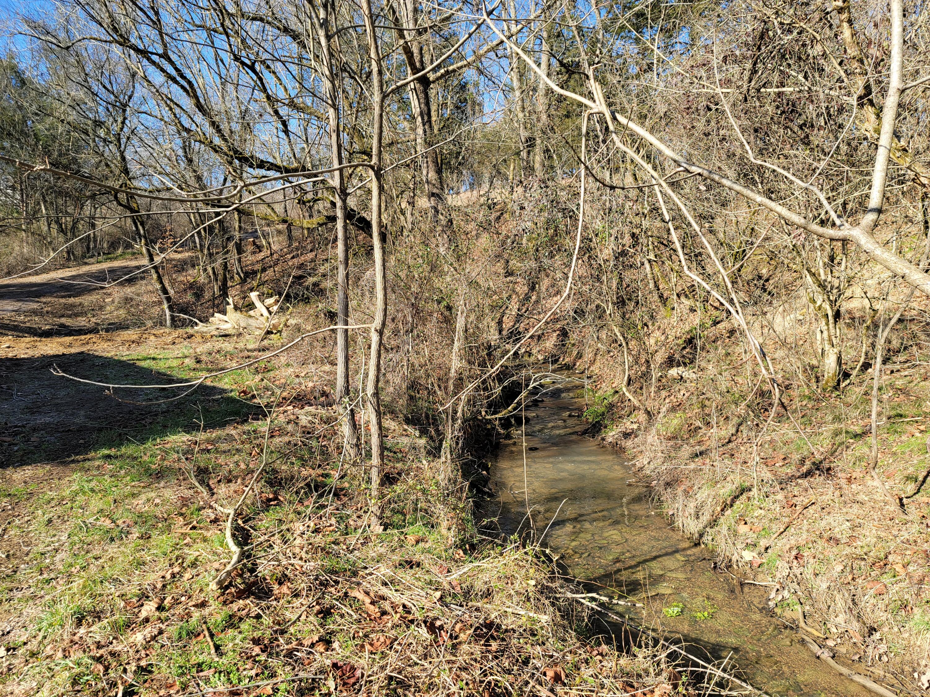 Lot 1 Baileyton Road, Unit B Greeneville, TN 37745 - Photo 23 of 52 20220219_101342