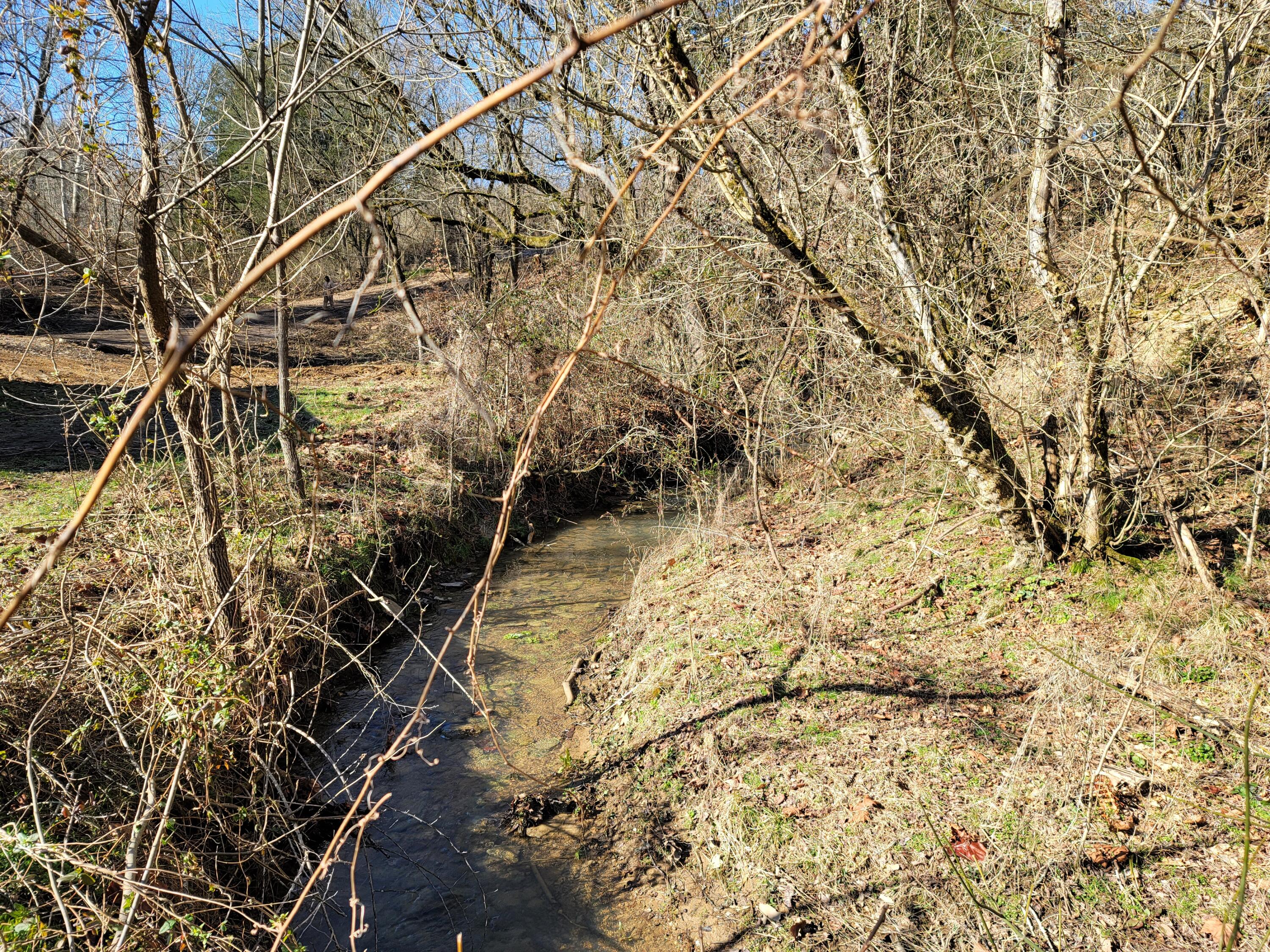 Lot 1 Baileyton Road, Unit B Greeneville, TN 37745 - Photo 24 of 52 20220219_101328