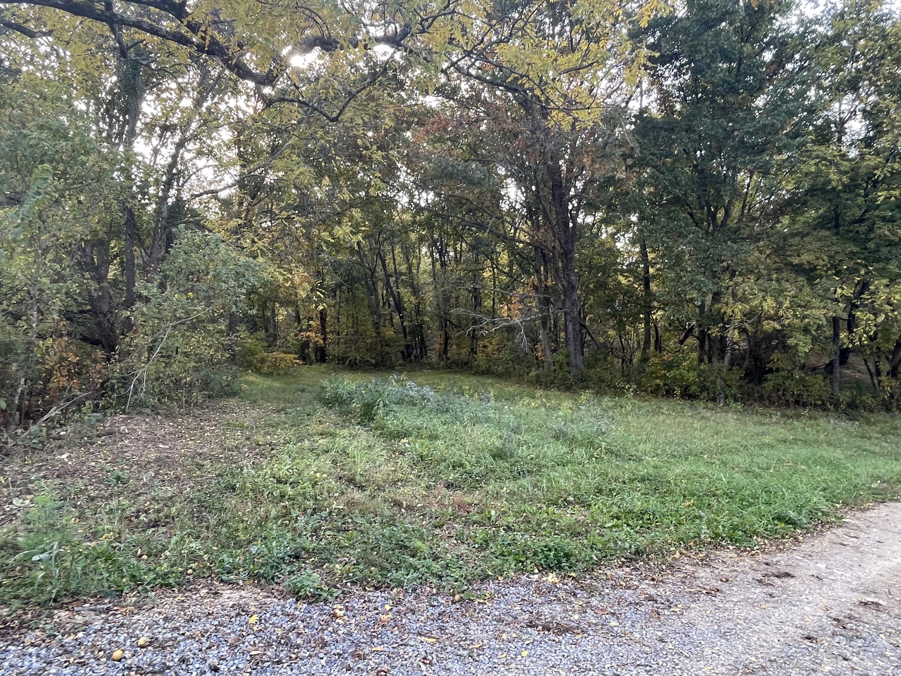 Lot 1 Baileyton Road, Unit B Greeneville, TN 37745 - Photo 26 of 52 62801F64-B6AC-42F9-B17A-277E91DCD50E