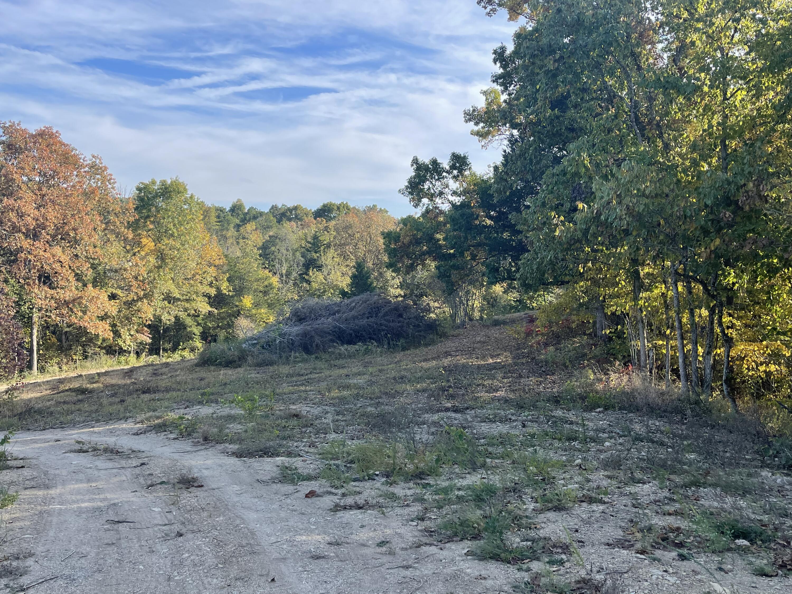 Lot 1 Baileyton Road, Unit B Greeneville, TN 37745 - Photo 28 of 52 EE567406-0EB4-422B-B8CD-E4EAF2317256