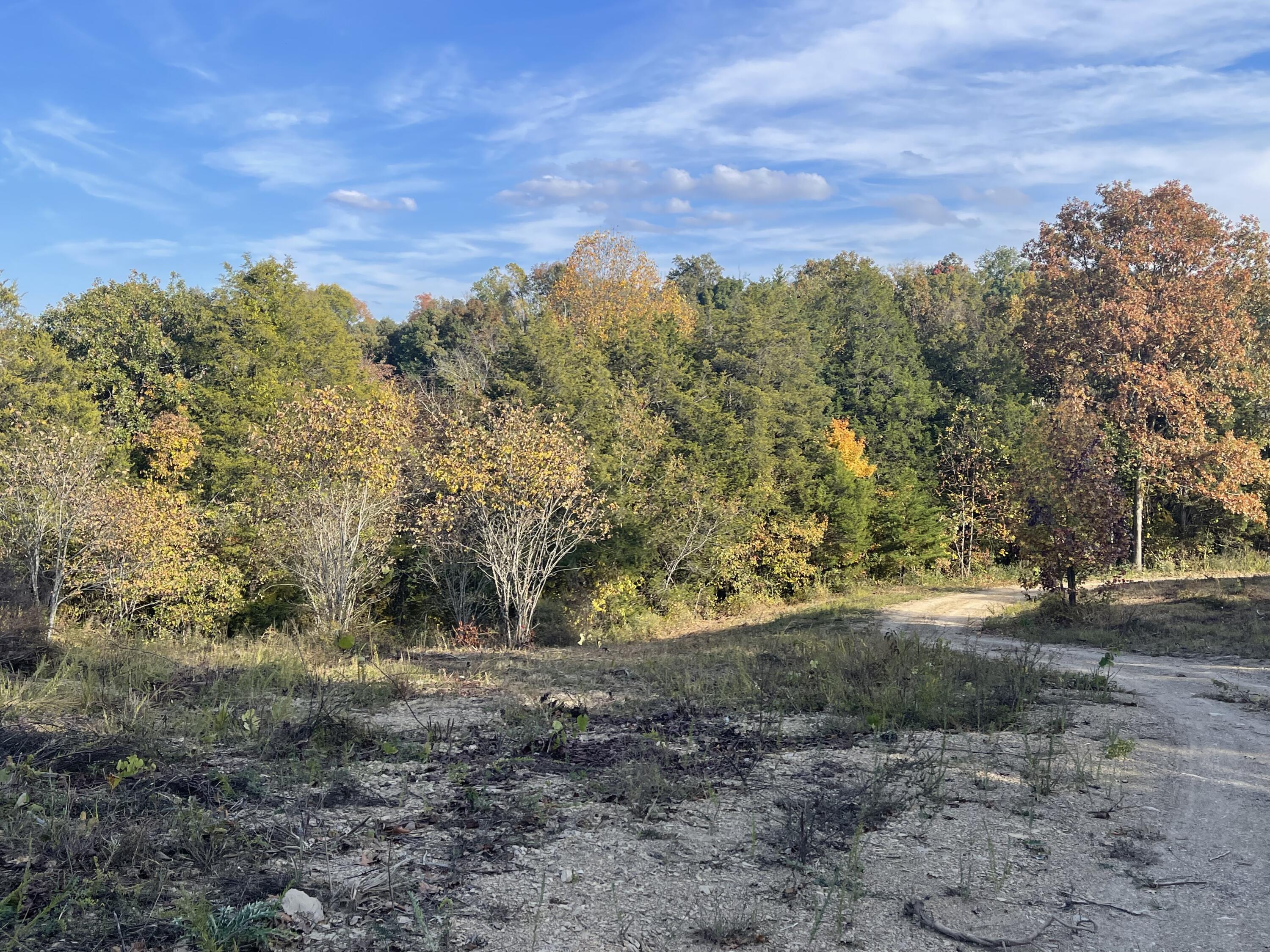 Lot 1 Baileyton Road, Unit B Greeneville, TN 37745 - Photo 29 of 52 5F0A6344-3A9D-4C25-988F-564D2BD1FD85