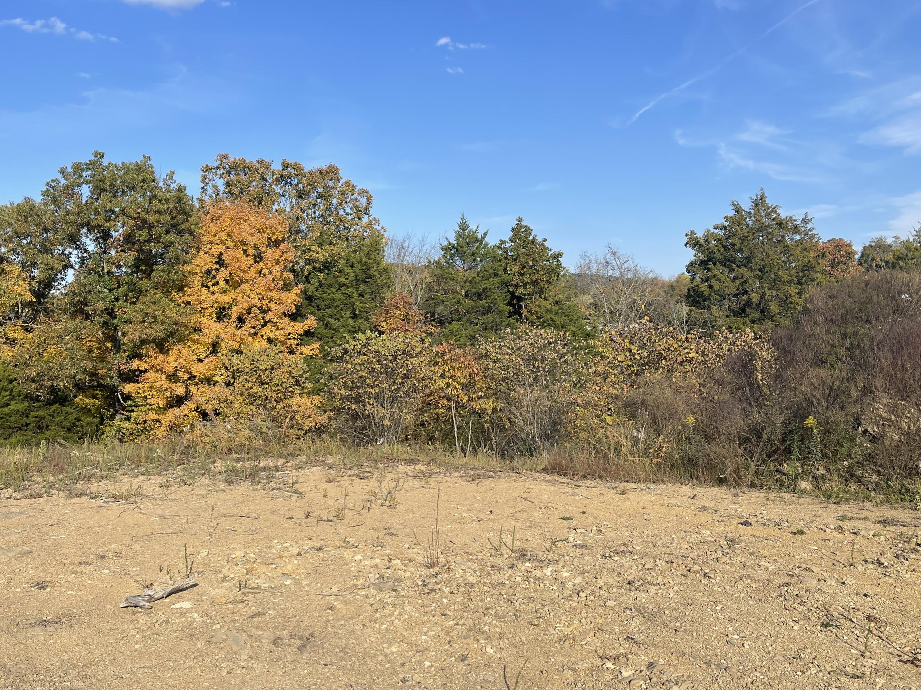 Lot 1 Baileyton Road, Unit B Greeneville, TN 37745 - Photo 30 of 52 486B41BA-08CE-4511-98DB-5A35E94DB4E1