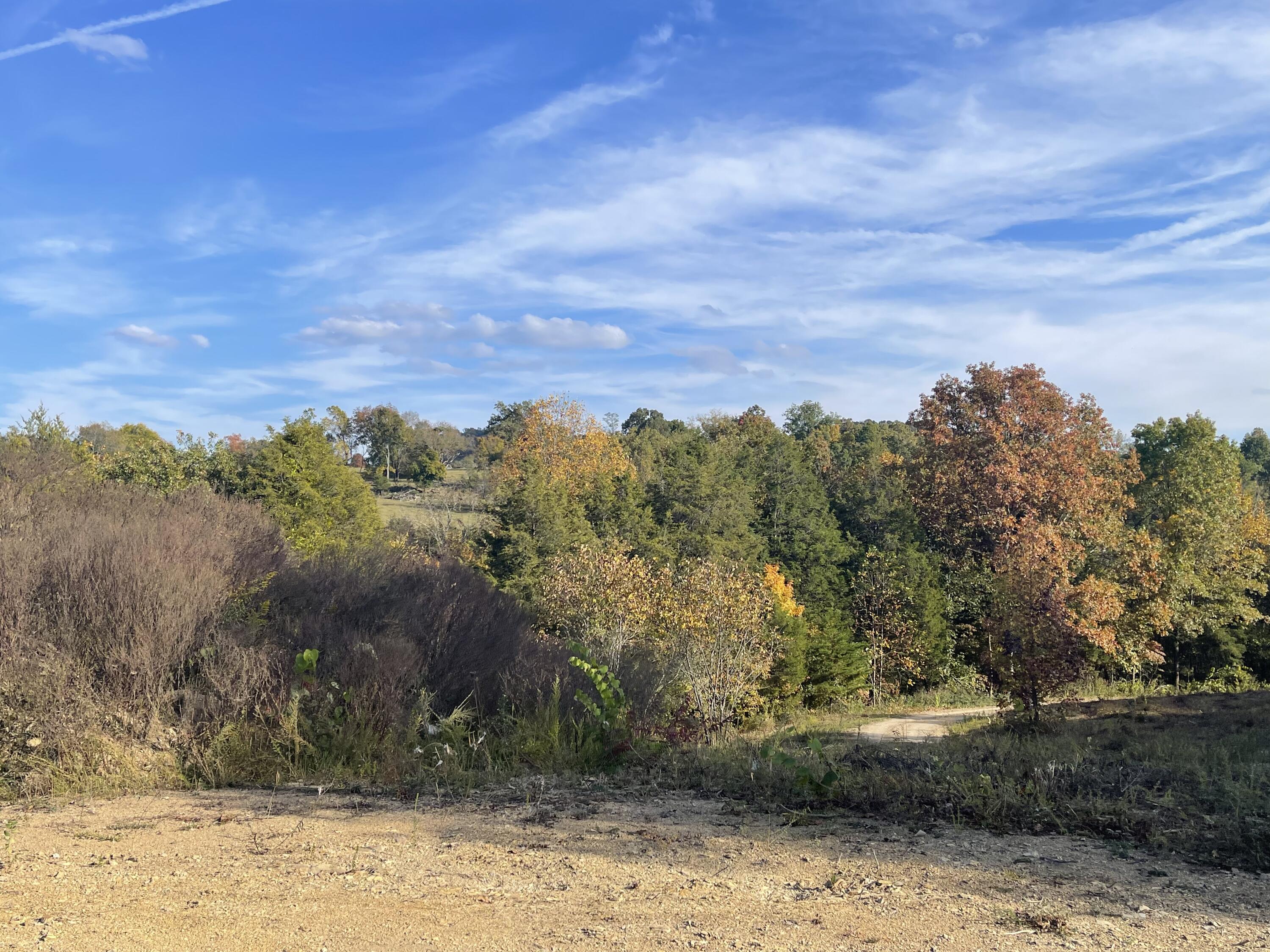 Lot 1 Baileyton Road, Unit B Greeneville, TN 37745 - Photo 32 of 52 8634AF4D-AD1B-45BE-8A57-5384691C9A3D