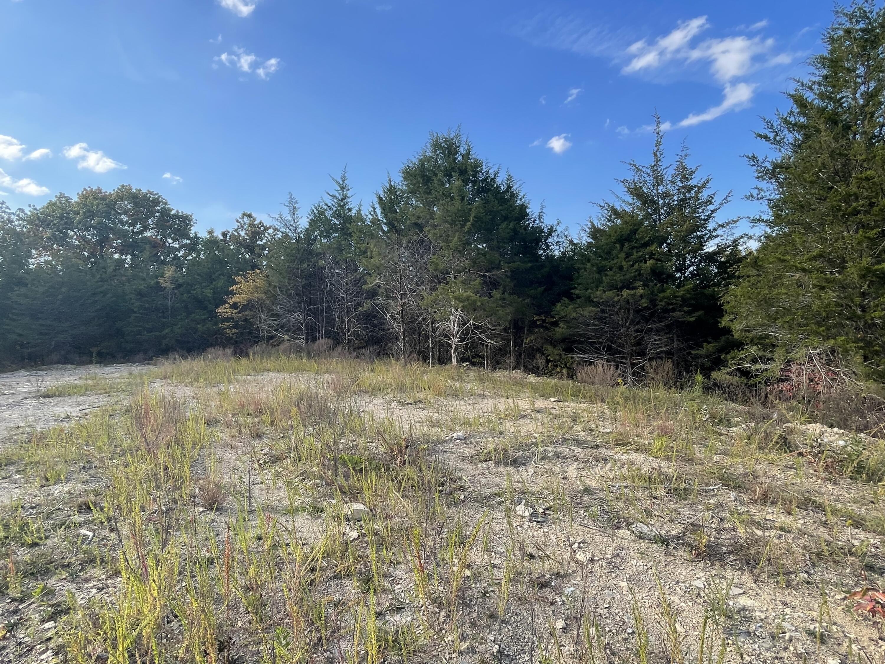 Lot 1 Baileyton Road, Unit B Greeneville, TN 37745 - Photo 33 of 52 DA3C4609-76A7-4513-BF5A-74D6AC2E2440
