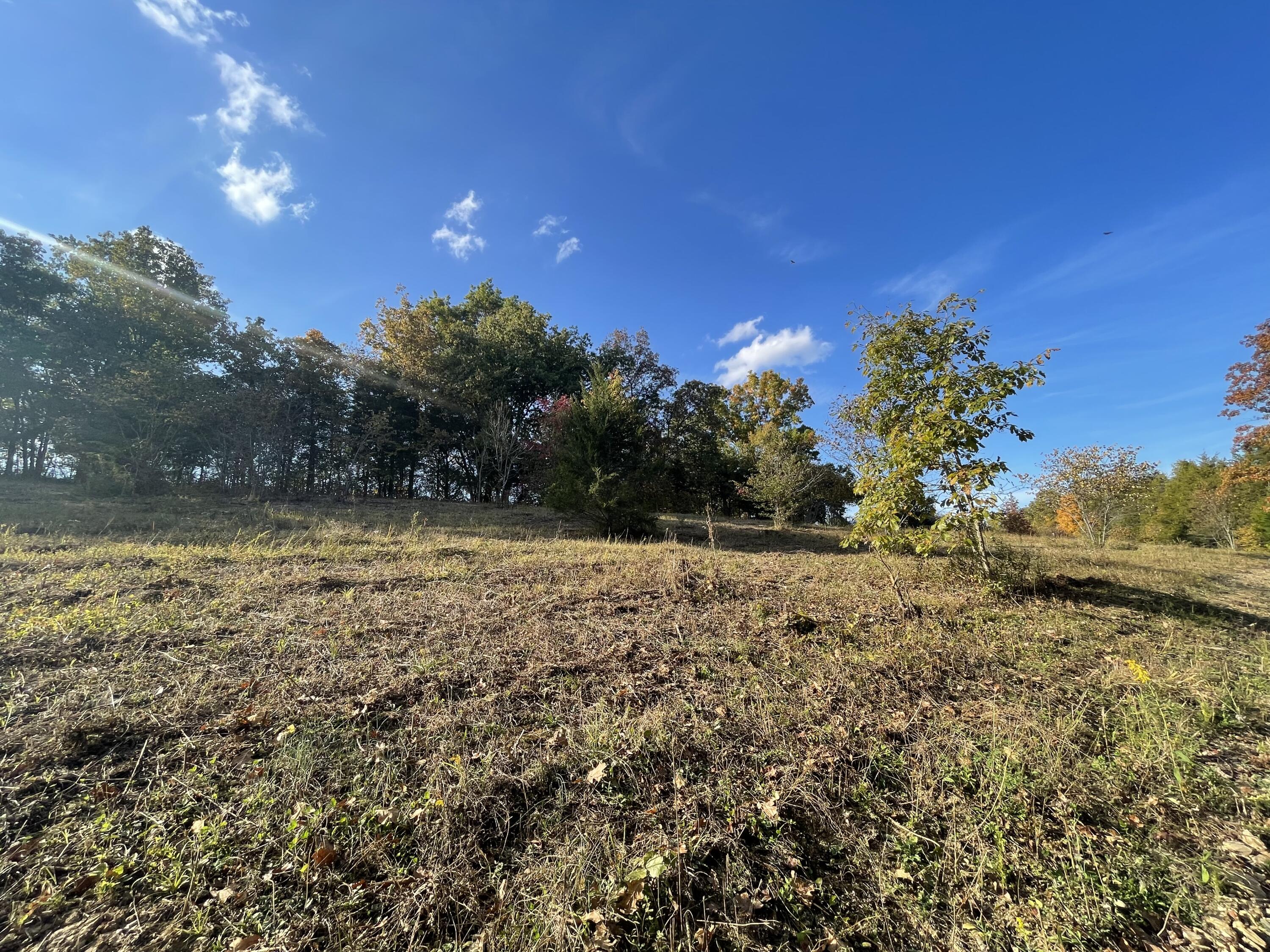 Lot 1 Baileyton Road, Unit B Greeneville, TN 37745 - Photo 34 of 52 ECCD6FBC-0A07-4A53-ADF0-72D6559010CE