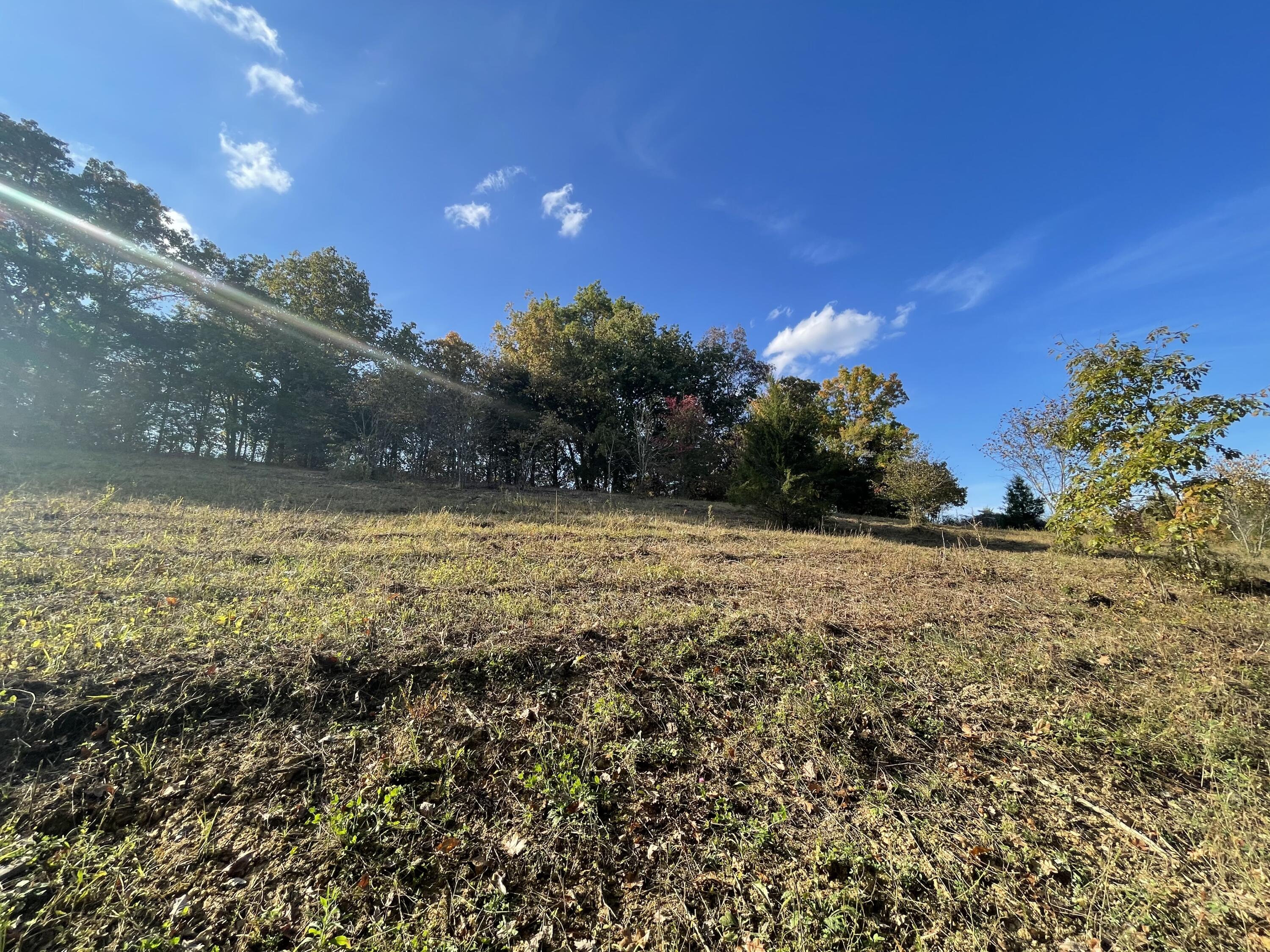 Lot 1 Baileyton Road, Unit B Greeneville, TN 37745 - Photo 36 of 52 48CA6C30-EE91-4F1B-B3EB-D7026D32B946