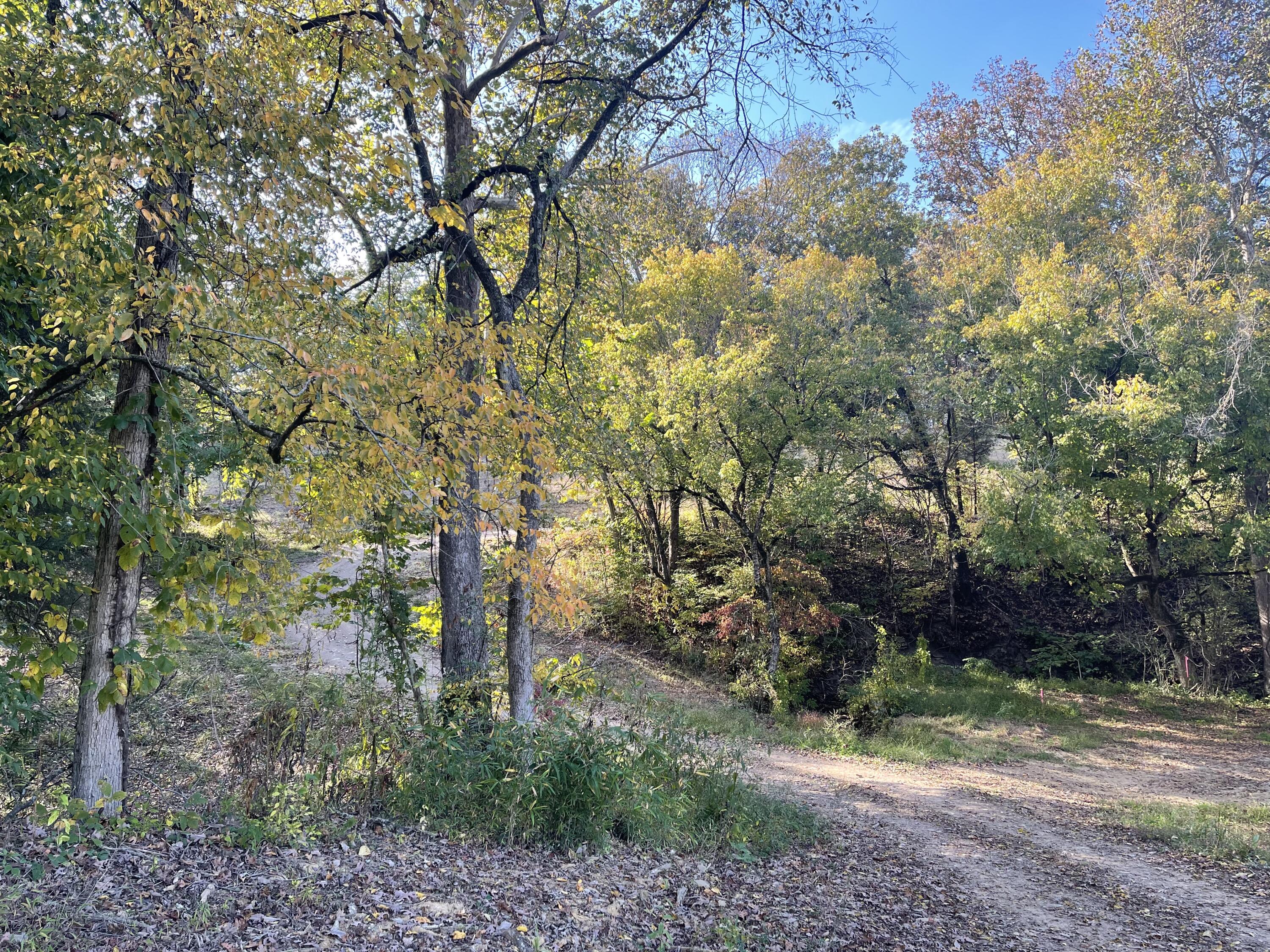 Lot 1 Baileyton Road, Unit B Greeneville, TN 37745 - Photo 39 of 52 CB42BB3C-ECEC-400C-8F42-65371F8358D0