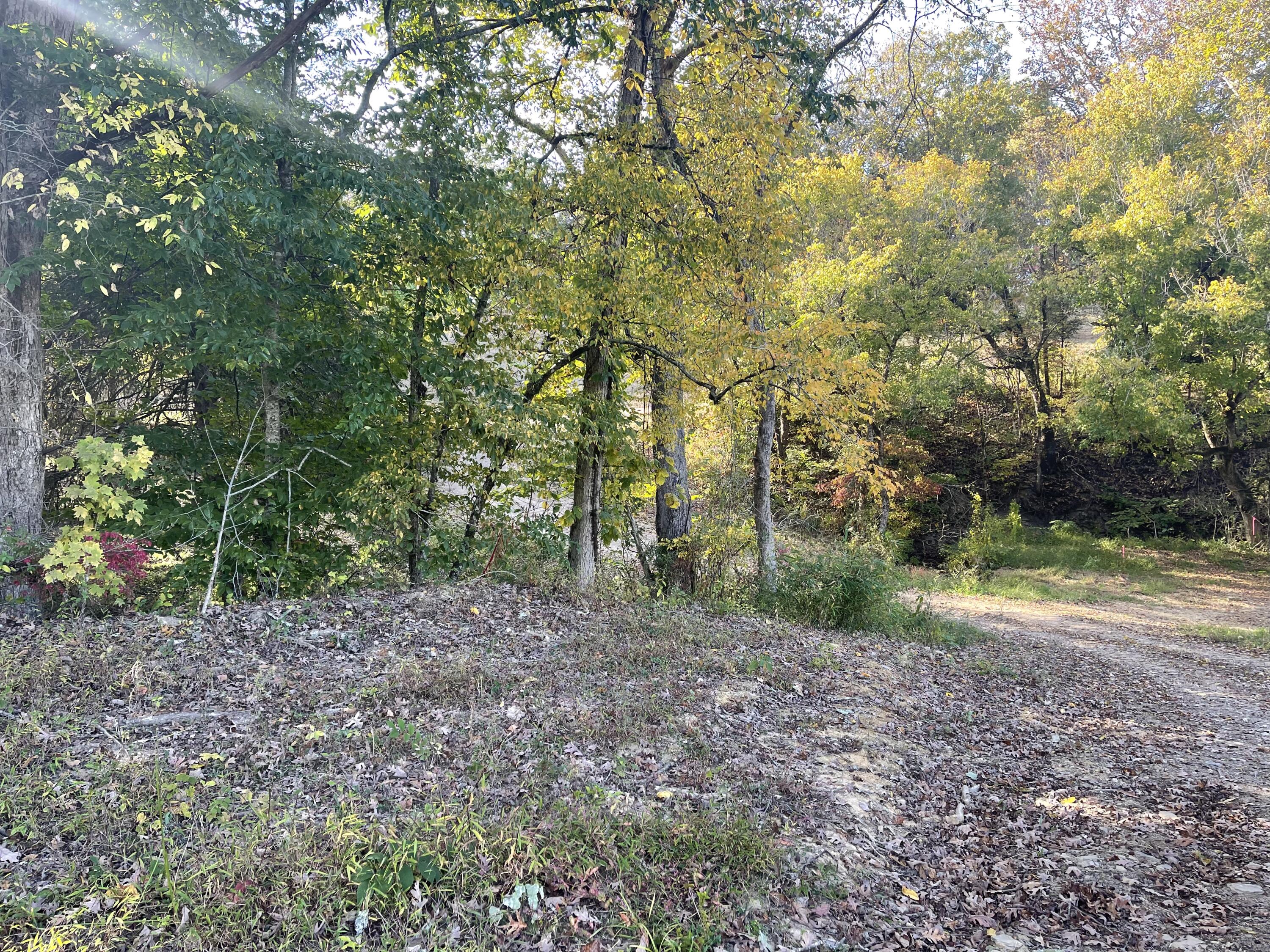 Lot 1 Baileyton Road, Unit B Greeneville, TN 37745 - Photo 40 of 52 75E503FF-6396-4CF6-999A-291E2279B321