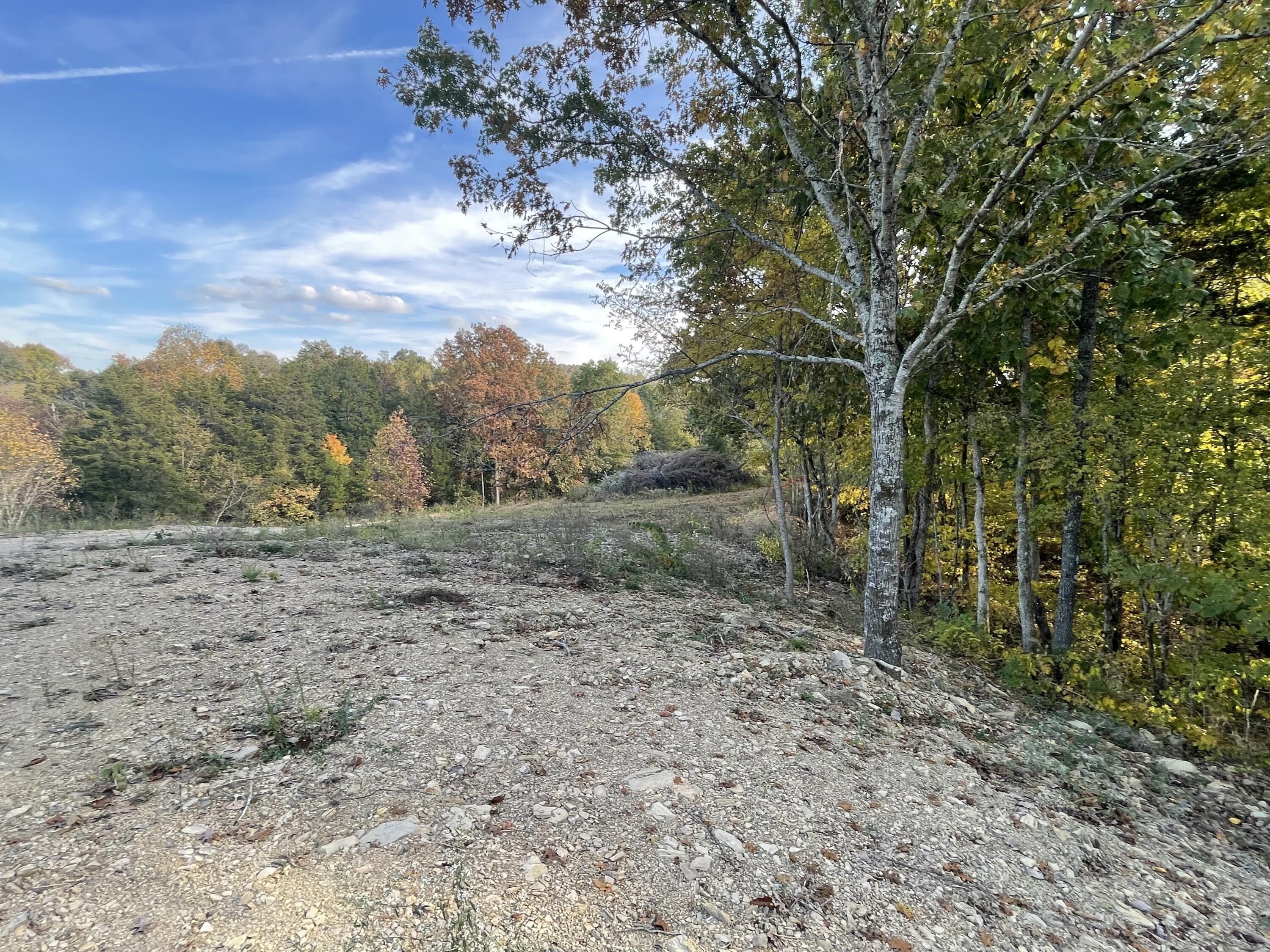 Lot 1 Baileyton Road, Unit B Greeneville, TN 37745 - Photo 4 of 52 8A59B638-3BB7-4B21-A4EC-D461C6F20E6A