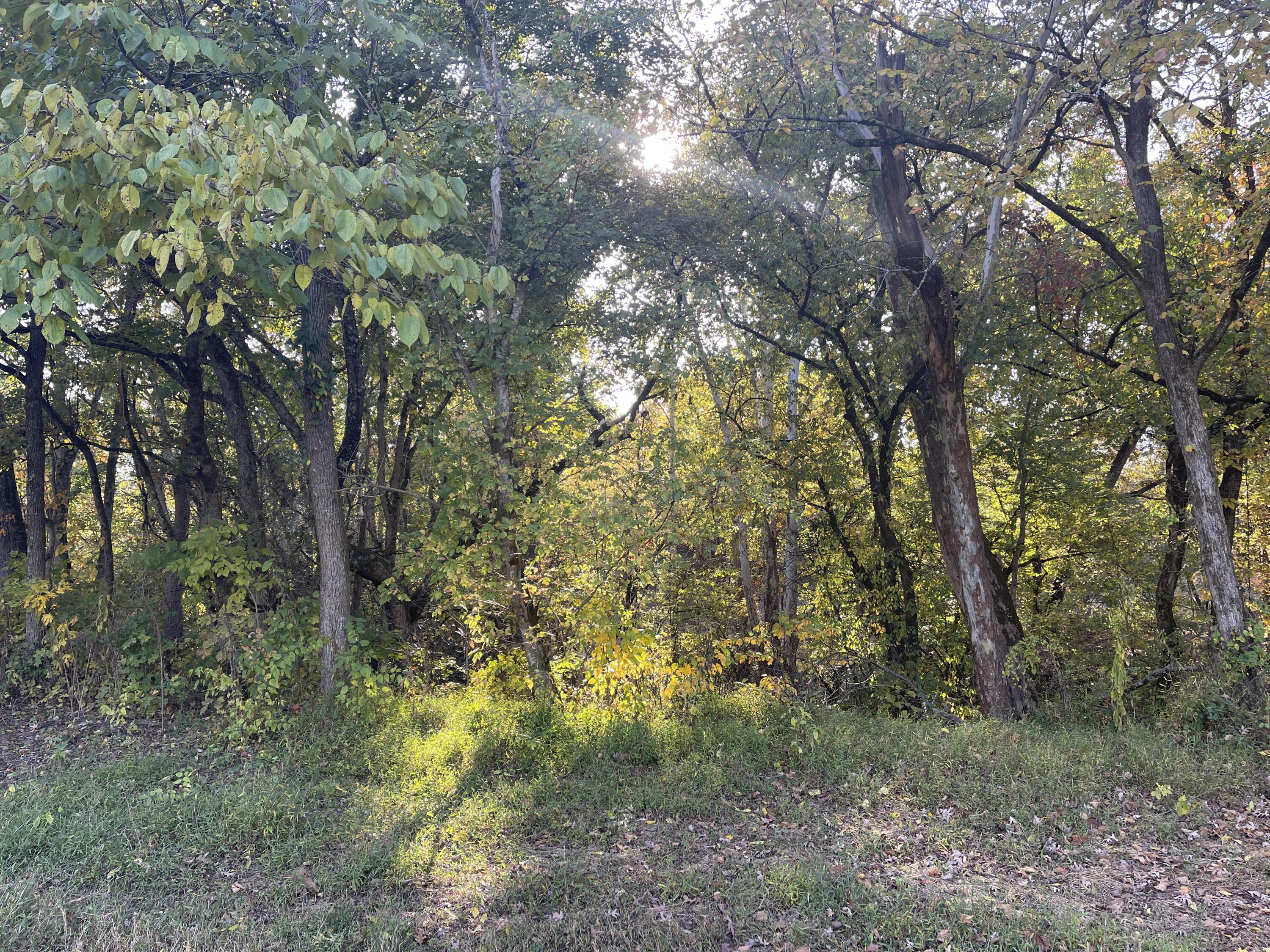 Lot 1 Baileyton Road, Unit B Greeneville, TN 37745 - Photo 41 of 52 7F7AC245-0D45-4DE9-A201-6E5592915609