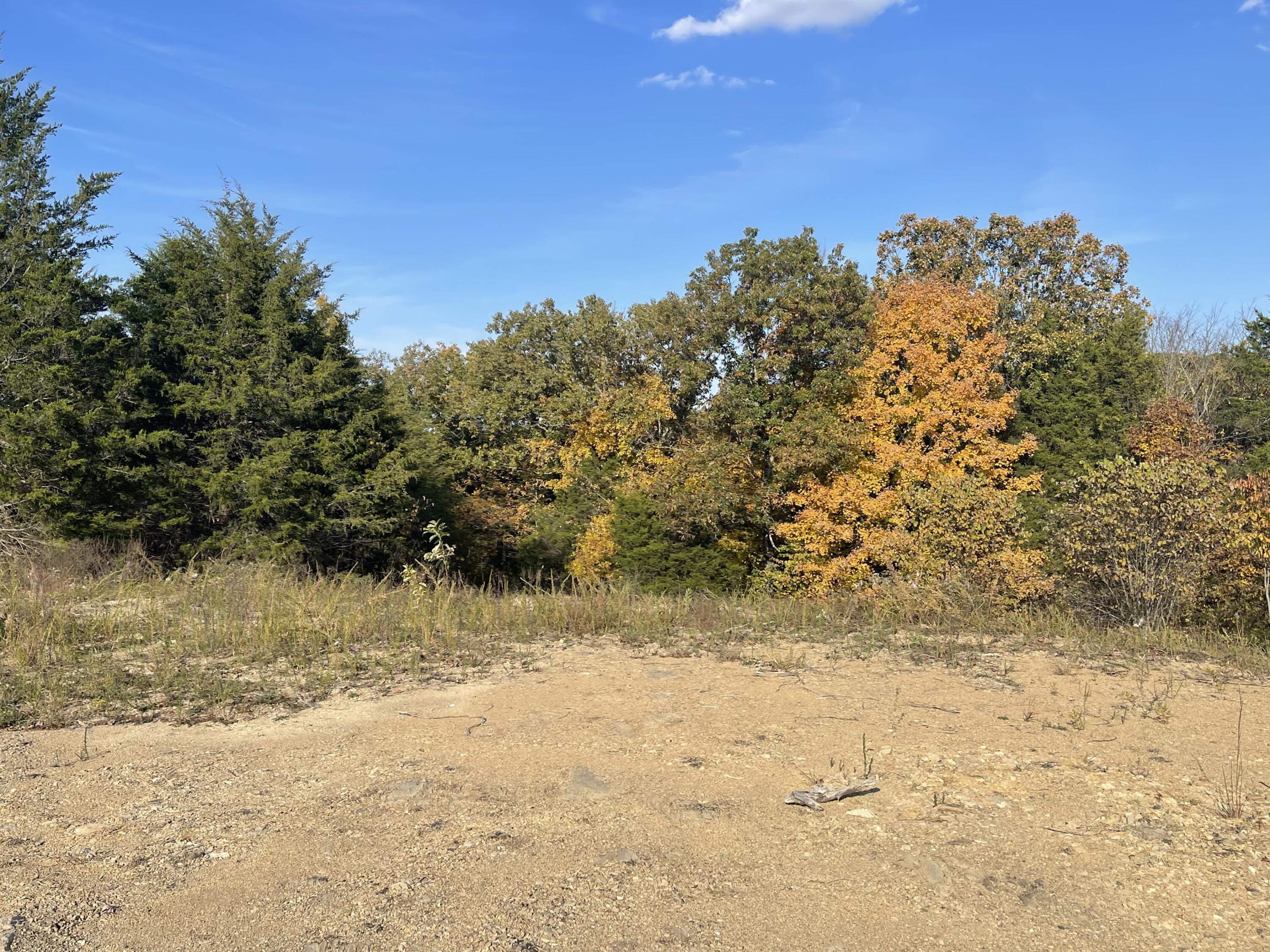 Lot 1 Baileyton Road, Unit B Greeneville, TN 37745 - Photo 5 of 52 DCFB84AF-F05D-42CA-A36D-38406BDF1285