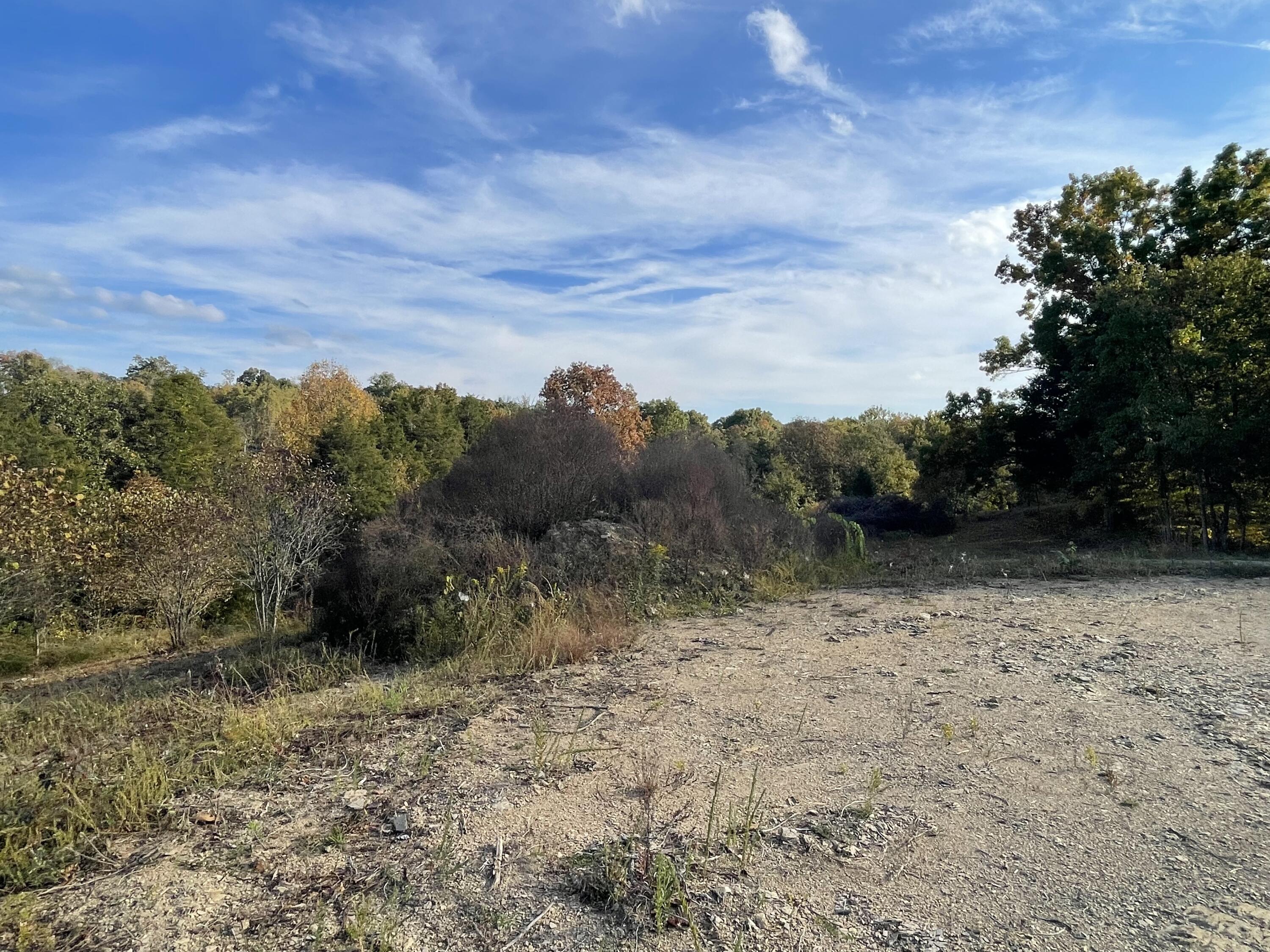 Lot 1 Baileyton Road, Unit B Greeneville, TN 37745 - Photo 6 of 52 AFD6510A-C888-4E72-B966-1A35D2500C17