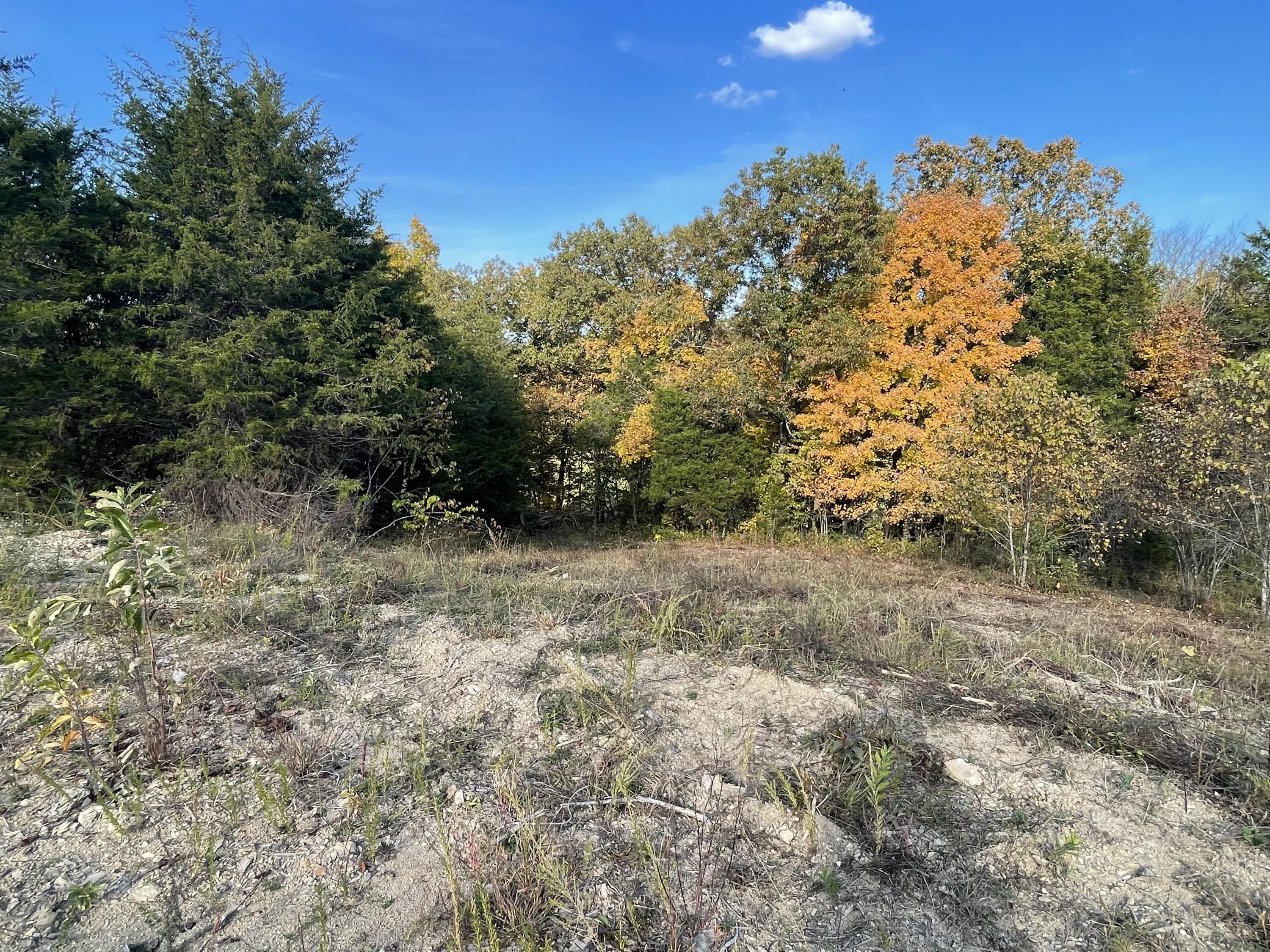 Lot 1 Baileyton Road, Unit B Greeneville, TN 37745 - Photo 7 of 52 0E46D118-7997-4016-A165-975AC163D46A