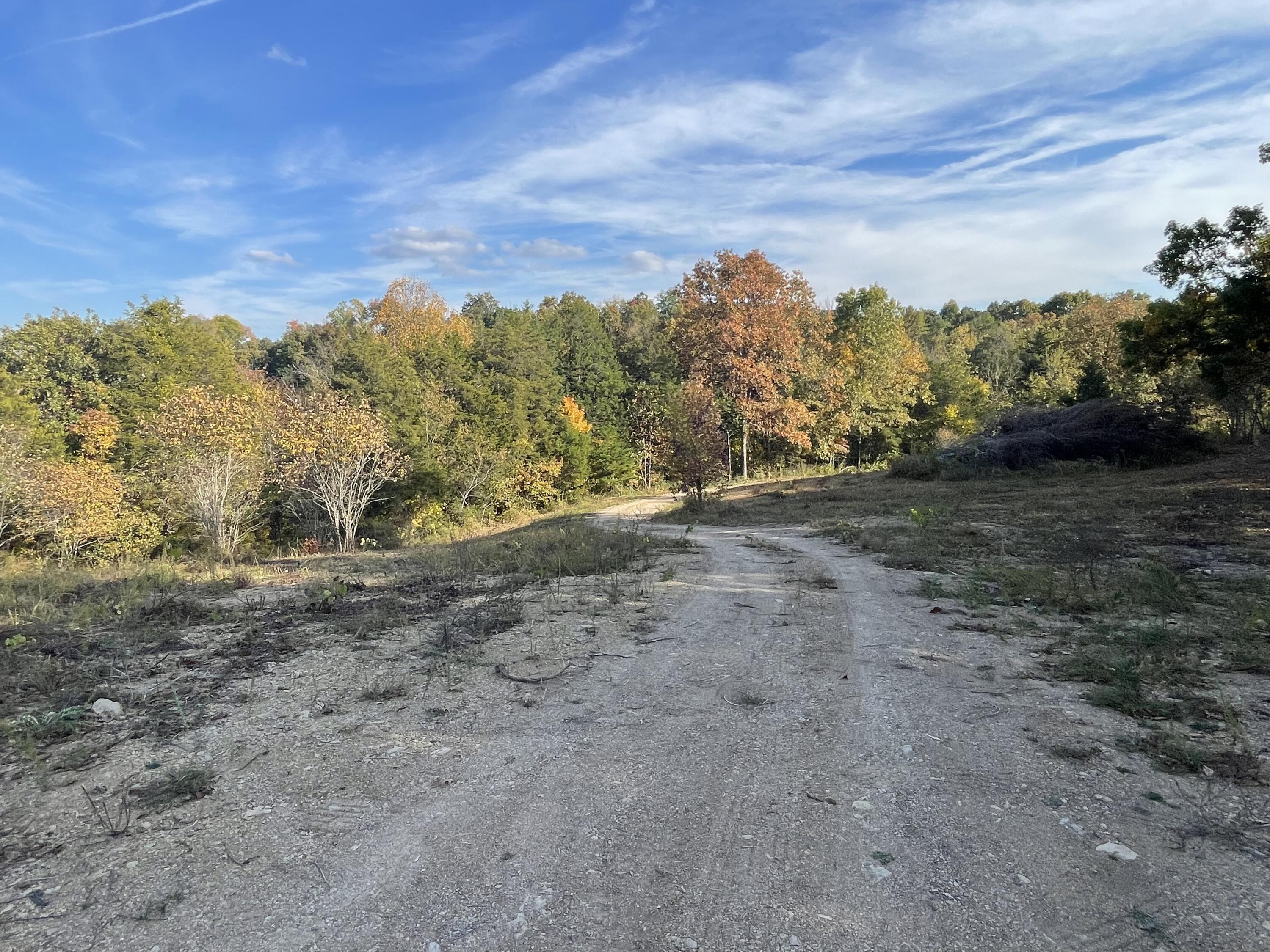 Lot 1 Baileyton Road, Unit B Greeneville, TN 37745 - Photo 8 of 52 6CFE2CC7-991A-4F4E-ADF5-F0B817B90E54