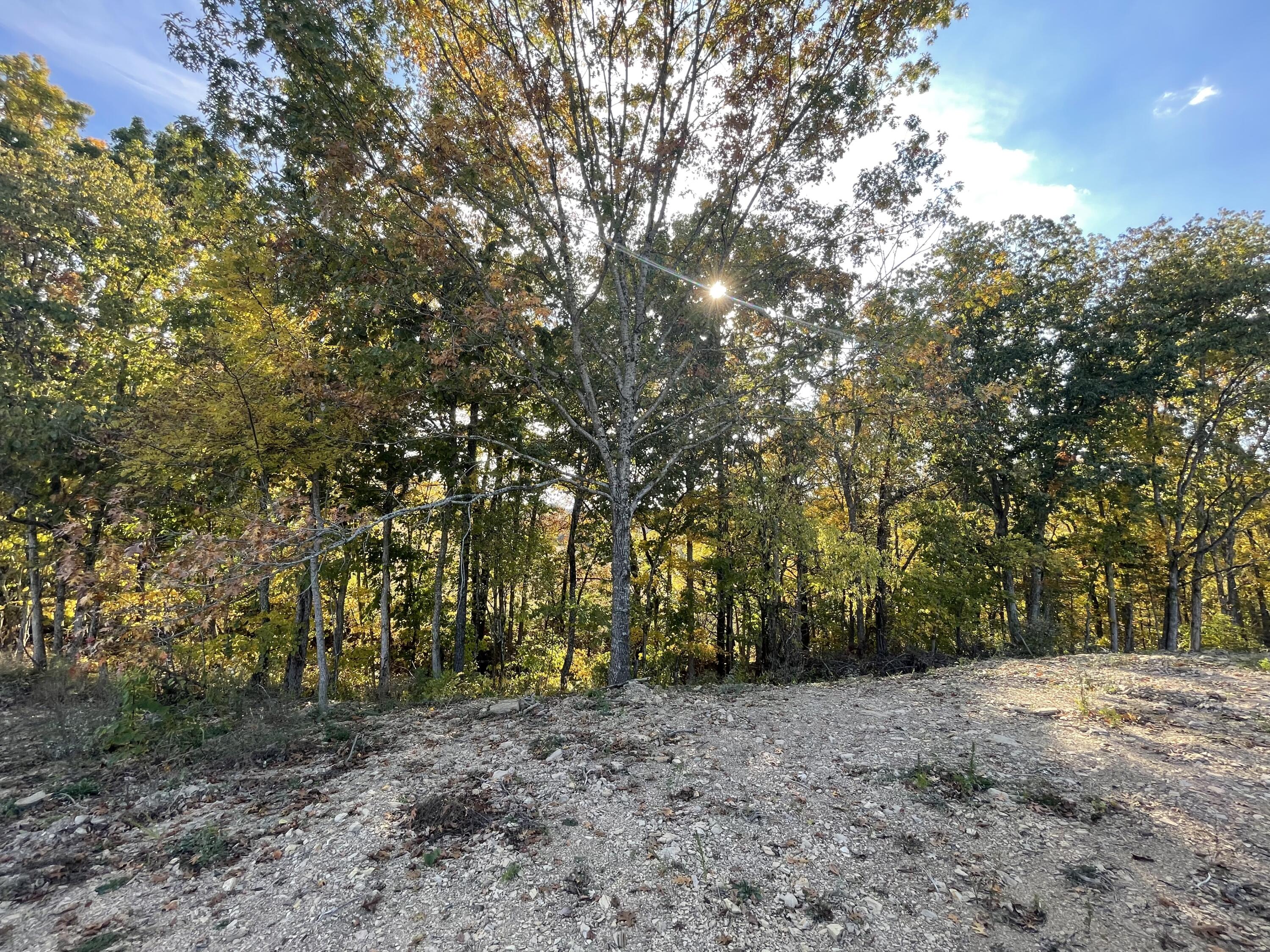 Lot 1 Baileyton Road, Unit B Greeneville, TN 37745 - Photo 9 of 52 3168FC5A-11C2-4BE3-8840-284B95DC719A