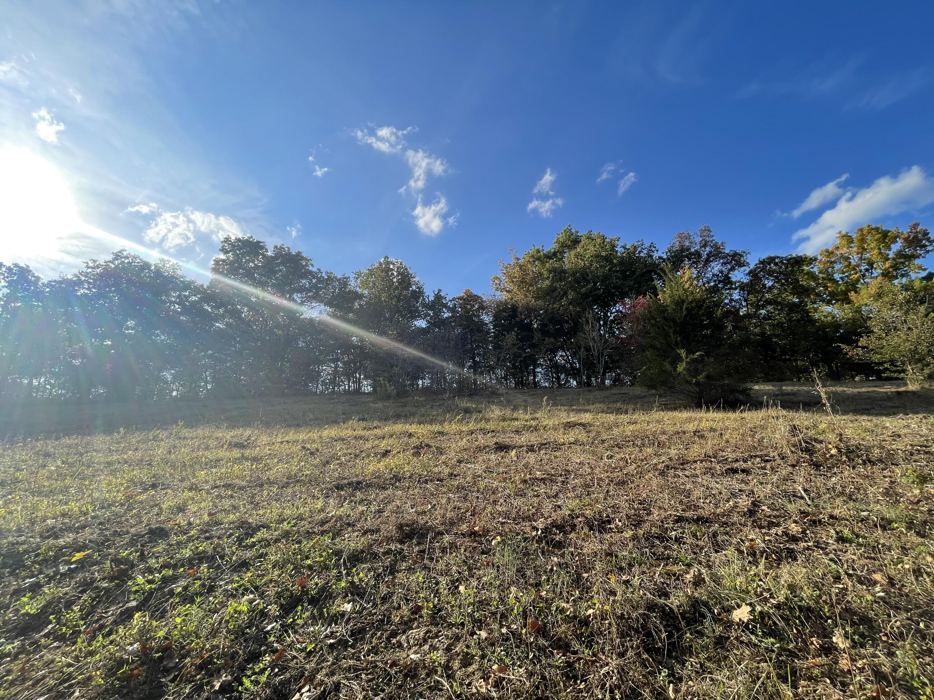 Lot 1 Baileyton Road, Unit B Greeneville, TN 37745 - Photo 10 of 52 371E204B-D0DB-4114-85F7-A237B33DB3D8
