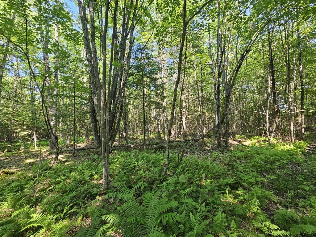 5 Farmington Falls Road New Sharon, ME 04955 - Photo 13 of 39 20260629_152359