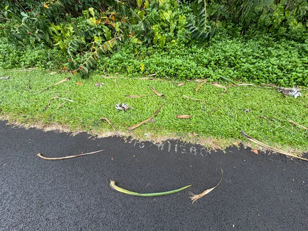 $27,000 | 1578 Oopu Street, Pahoa, HI 96778