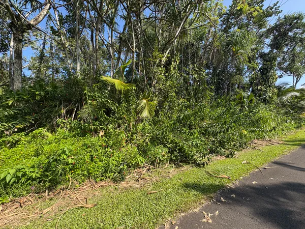 $27,000 | 1578 Oopu Street, Pahoa, HI 96778