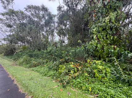 $27,000 | 1578 Oopu Street, Pahoa, HI 96778