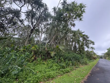 $27,000 | 1578 Oopu Street, Pahoa, HI 96778