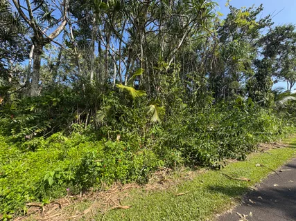 $27,000 | 1578 Oopu Street, Pahoa, HI 96778