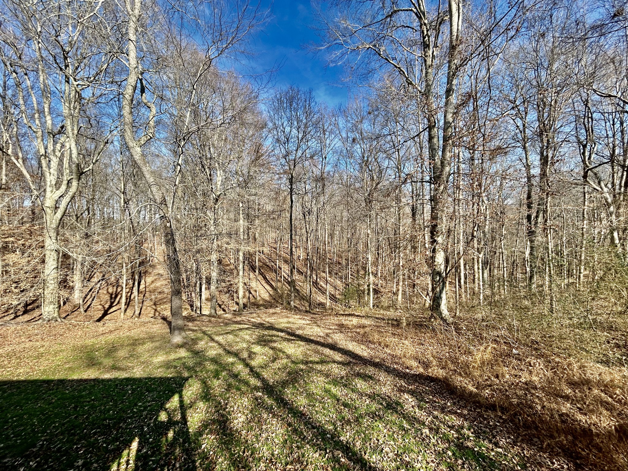 590 Jackson Hollow Road Minor Hill, TN 38473 - Photo 24 of 30