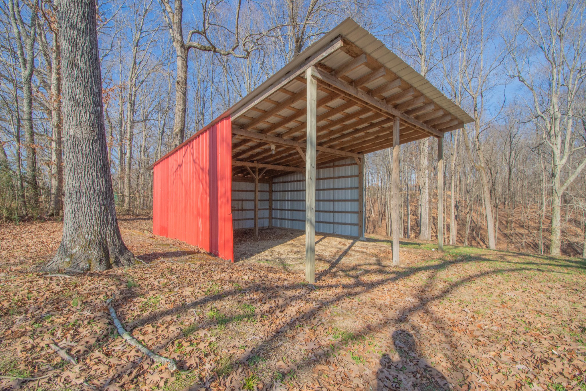 590 Jackson Hollow Road Minor Hill, TN 38473 - Photo 25 of 30