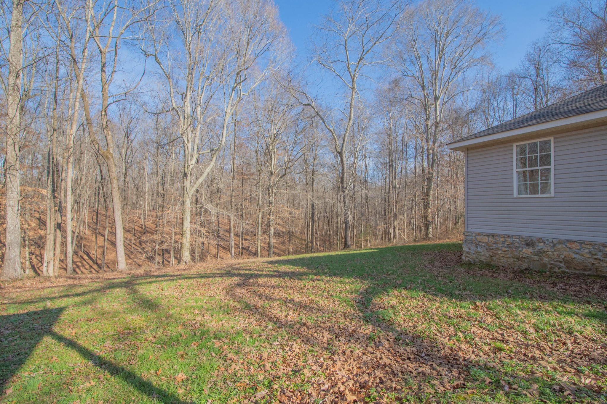 590 Jackson Hollow Road Minor Hill, TN 38473 - Photo 27 of 30