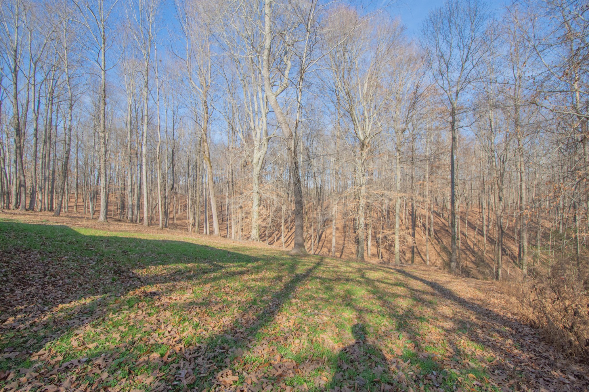 590 Jackson Hollow Road Minor Hill, TN 38473 - Photo 29 of 30