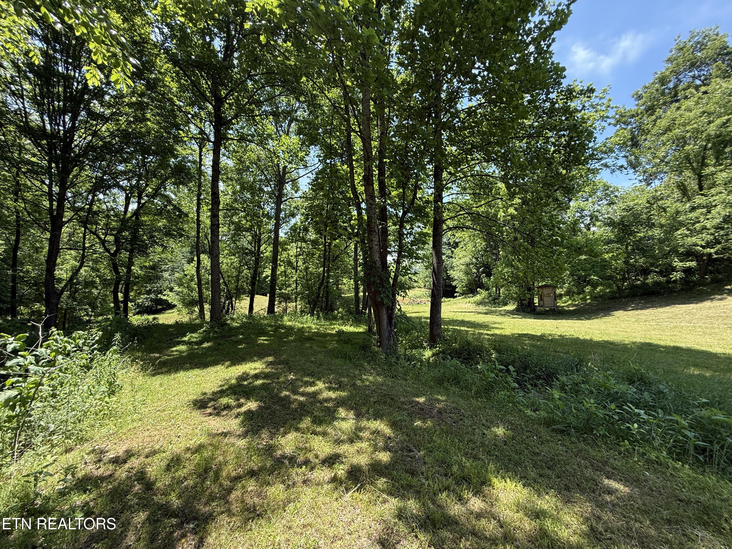 Richland Road Blaine, TN 37709 - Photo 21 of 25 IMG_5466
