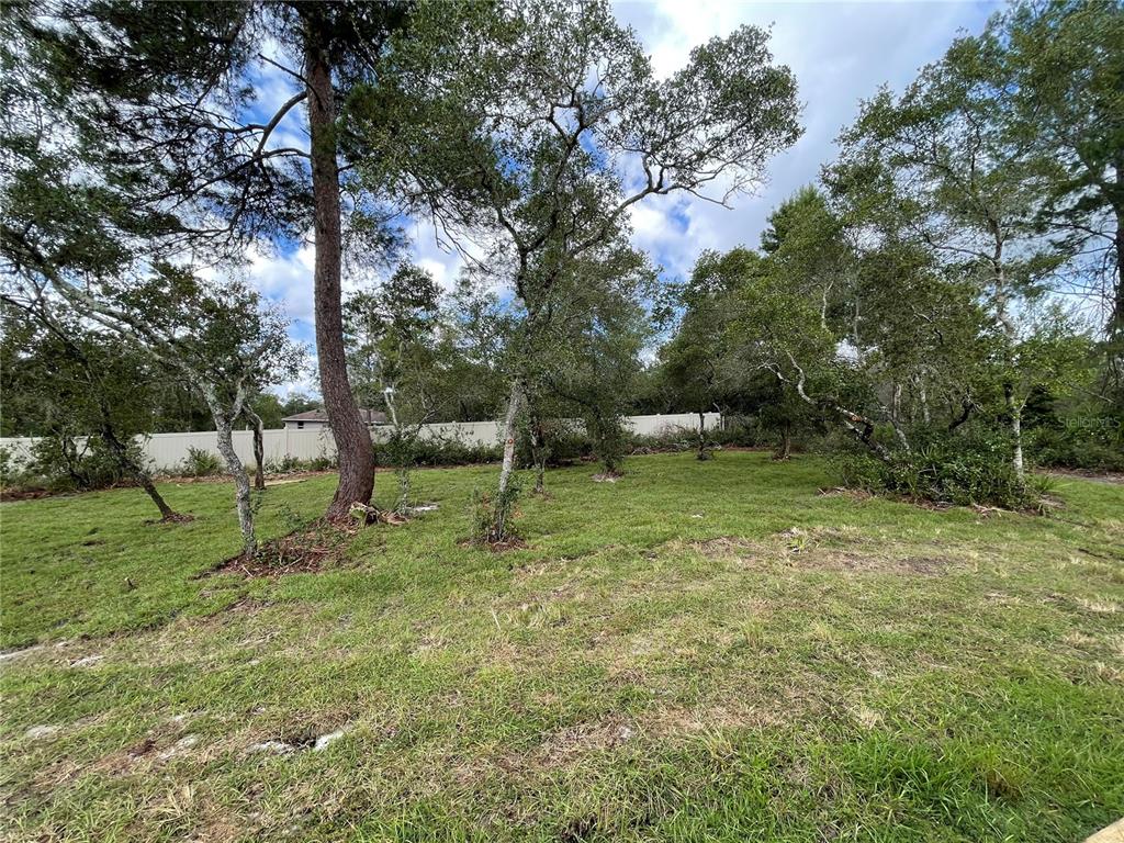 41719 Aspen Street Eustis, FL 32736 - Photo 13 of 42