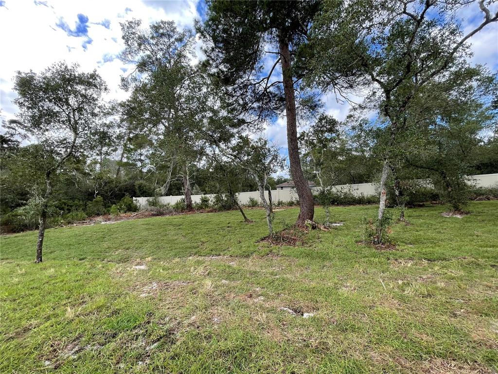 41719 Aspen Street Eustis, FL 32736 - Photo 29 of 52 a view of a park with a tree