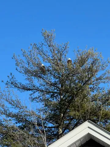 $495,000 | 3 Aquatic Way, Unit 7, Windham, ME 04062